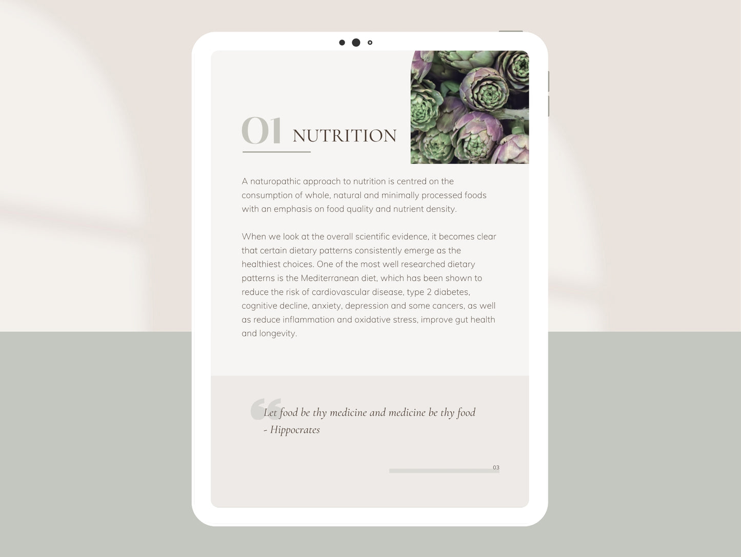 Done-for-you Canva eBook template for holistic health professionals