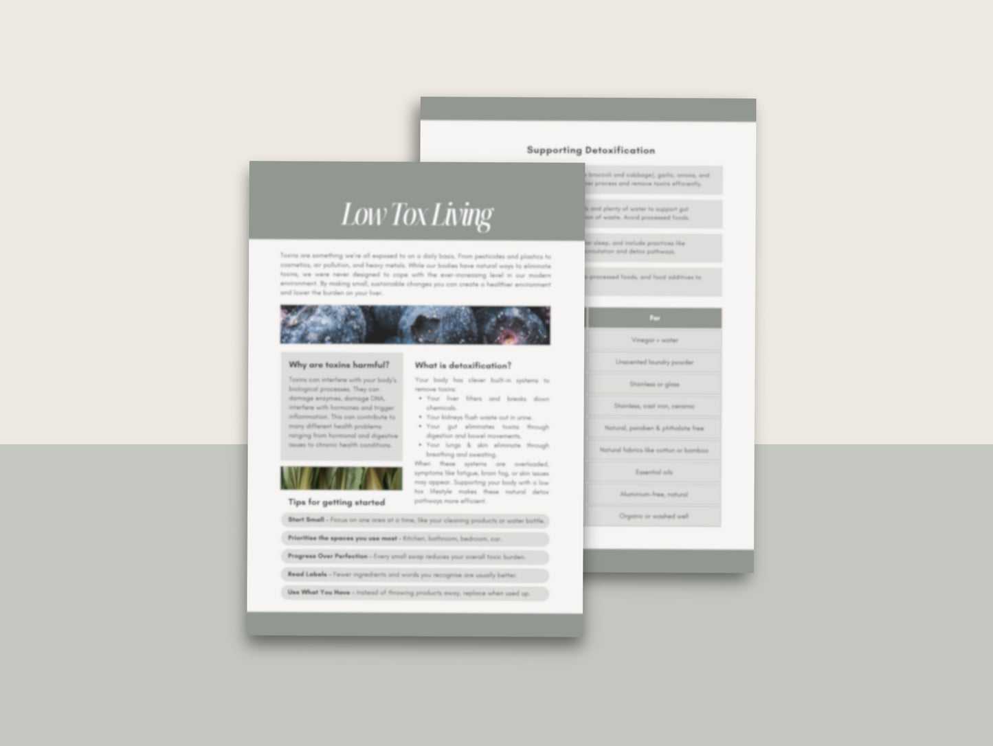 Low-Tox Living Handout