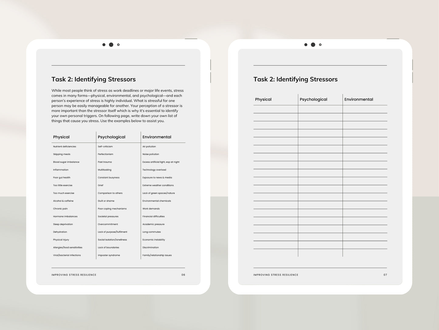 PLR stress masterclass template for holistic practitioners