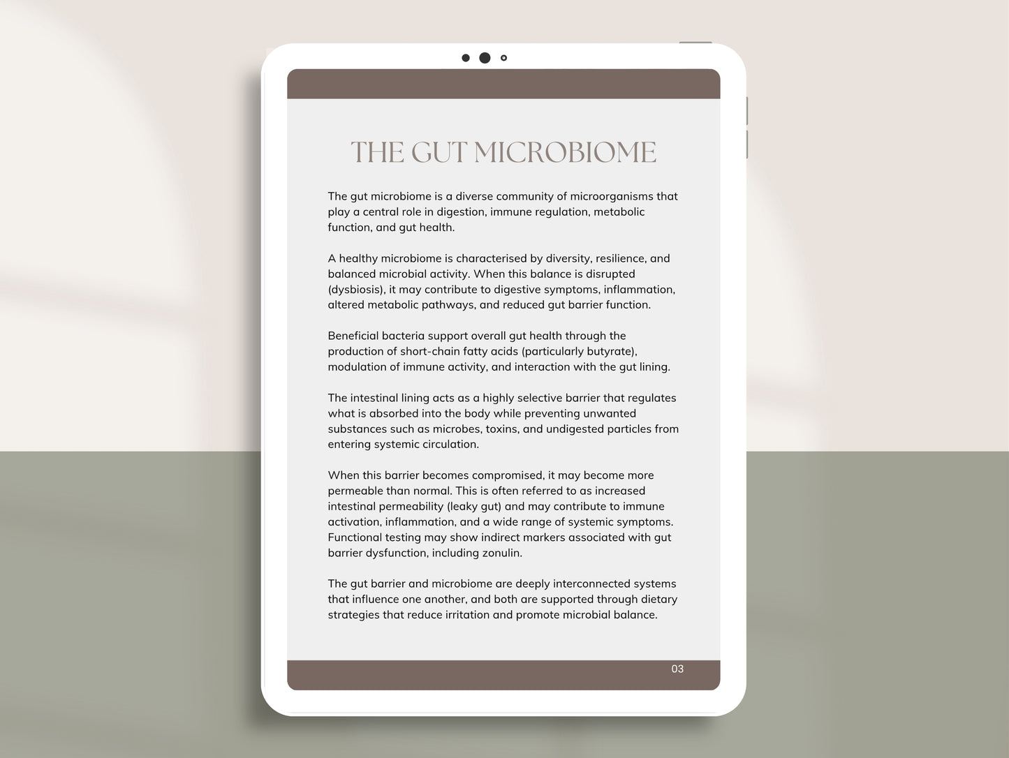 Gut Microbiome Meal Plan