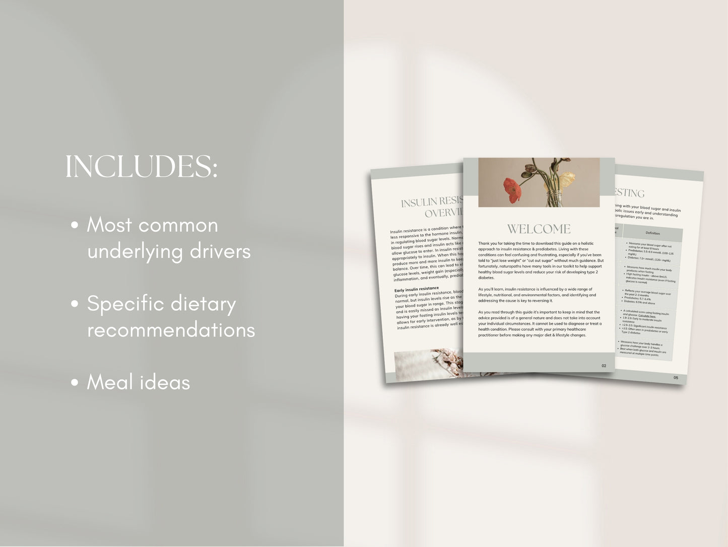 Insulin Resistance Booklet