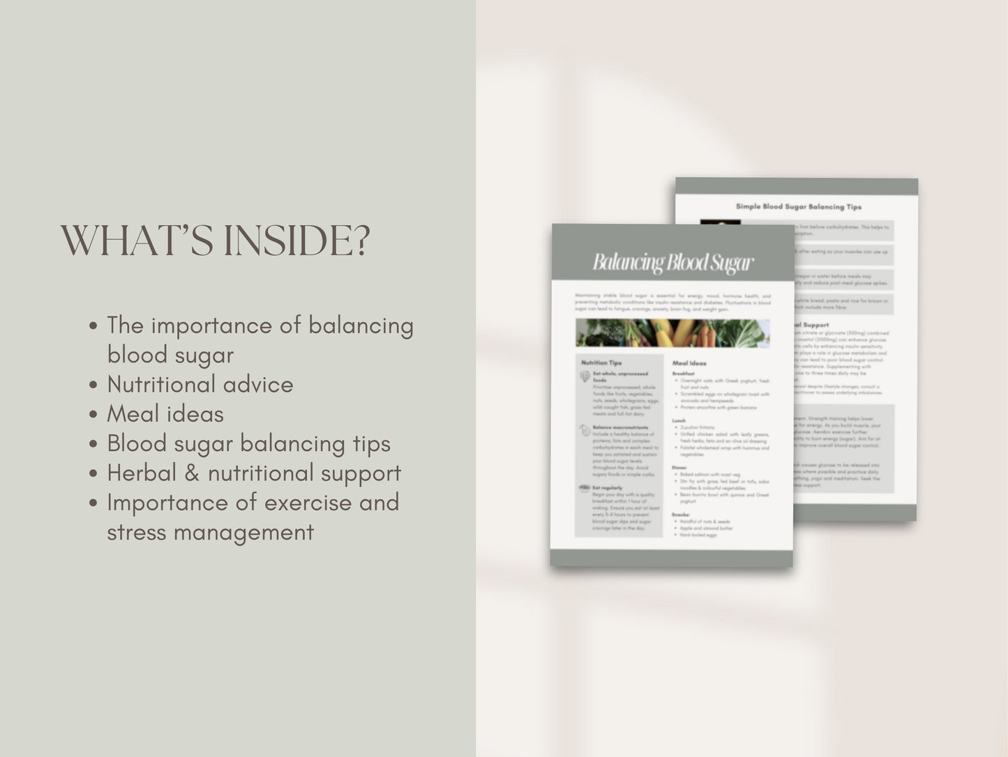 Done-for-you blood sugar guide for holistic health professionals and nutritionists