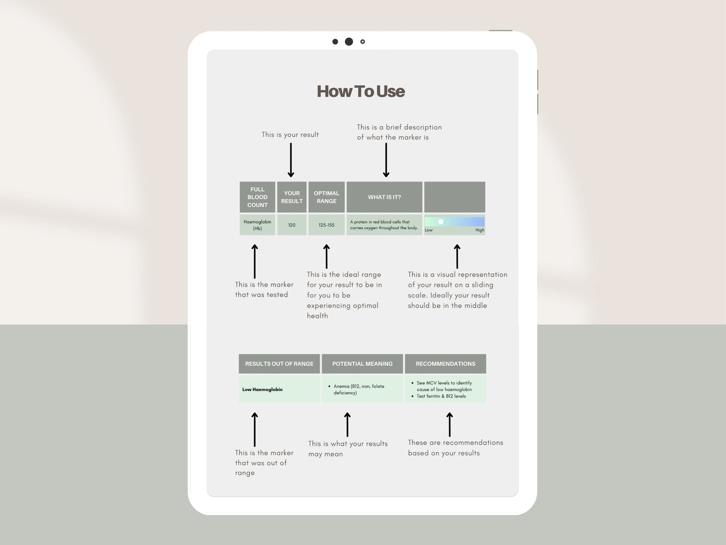 Client blood test results explanation Canva template for nutritionists