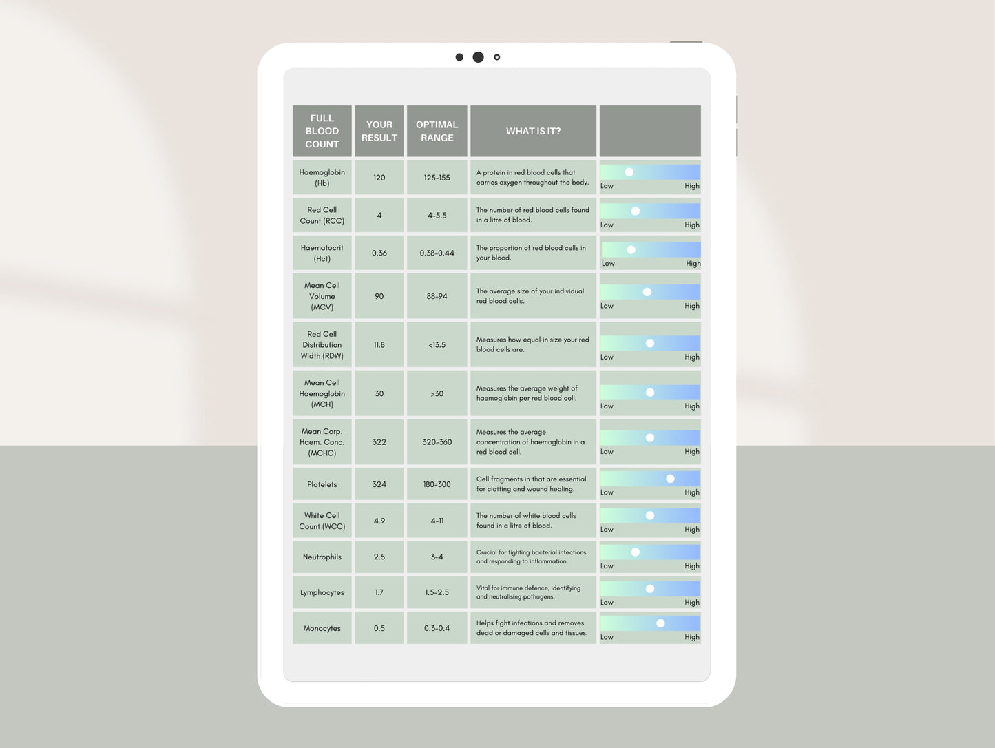 Canva blood test review report for nutritionists, naturopaths, and functional medicine practitioners