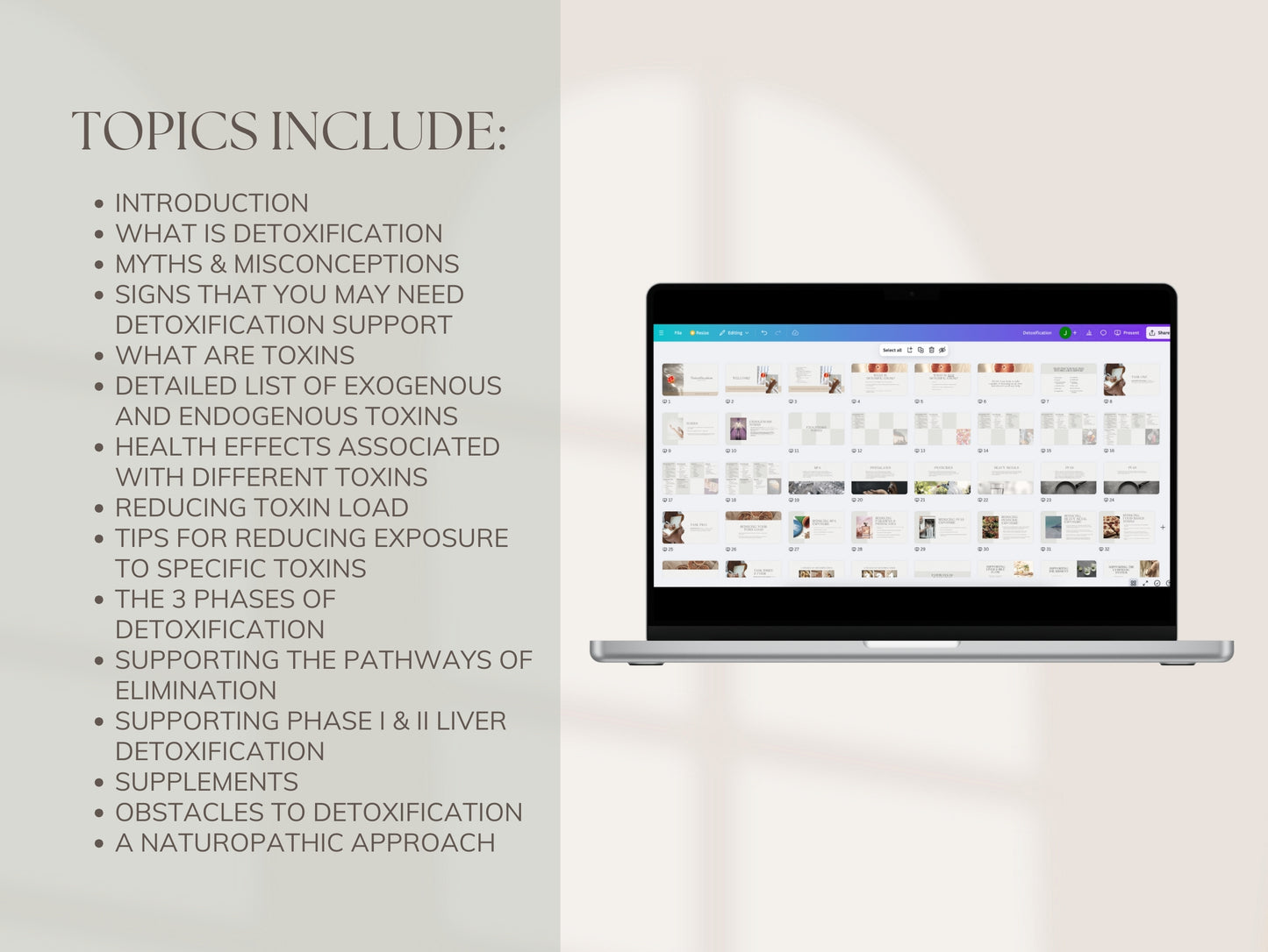 White-label detox masterclass with slides and script for passive income