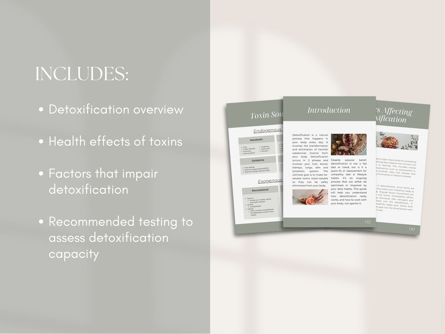 Detoxification Patient Booklet