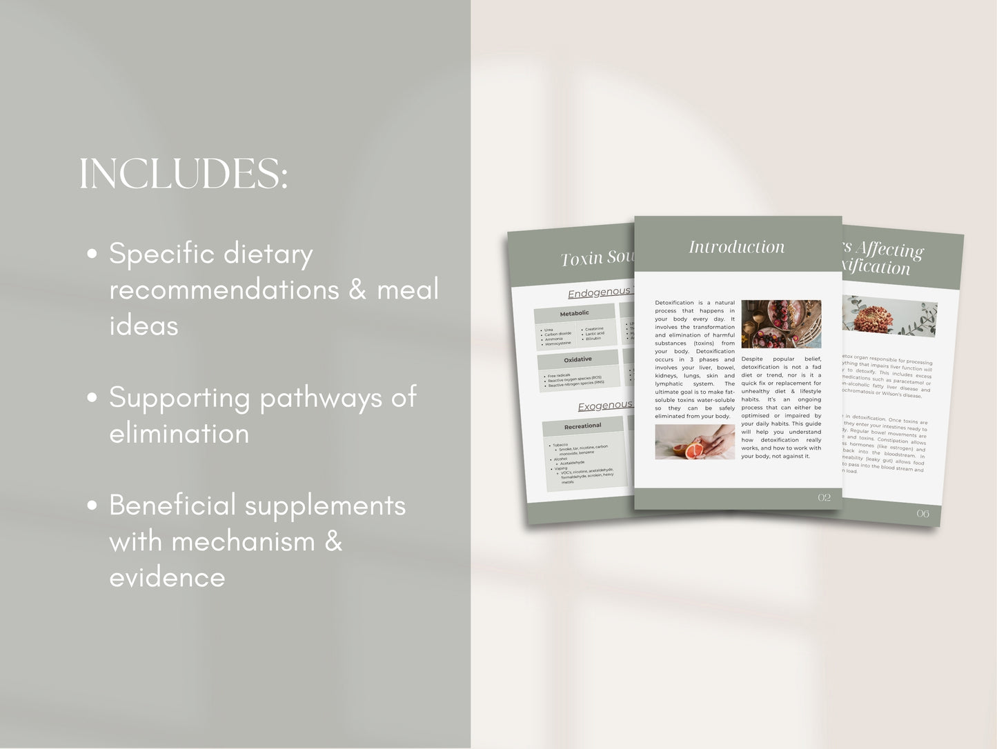Detoxification Patient Booklet