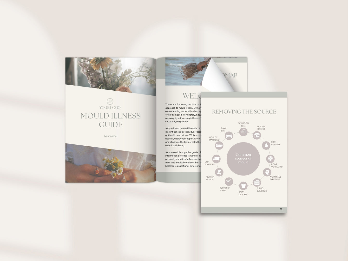 Mould Illness Patient Booklet