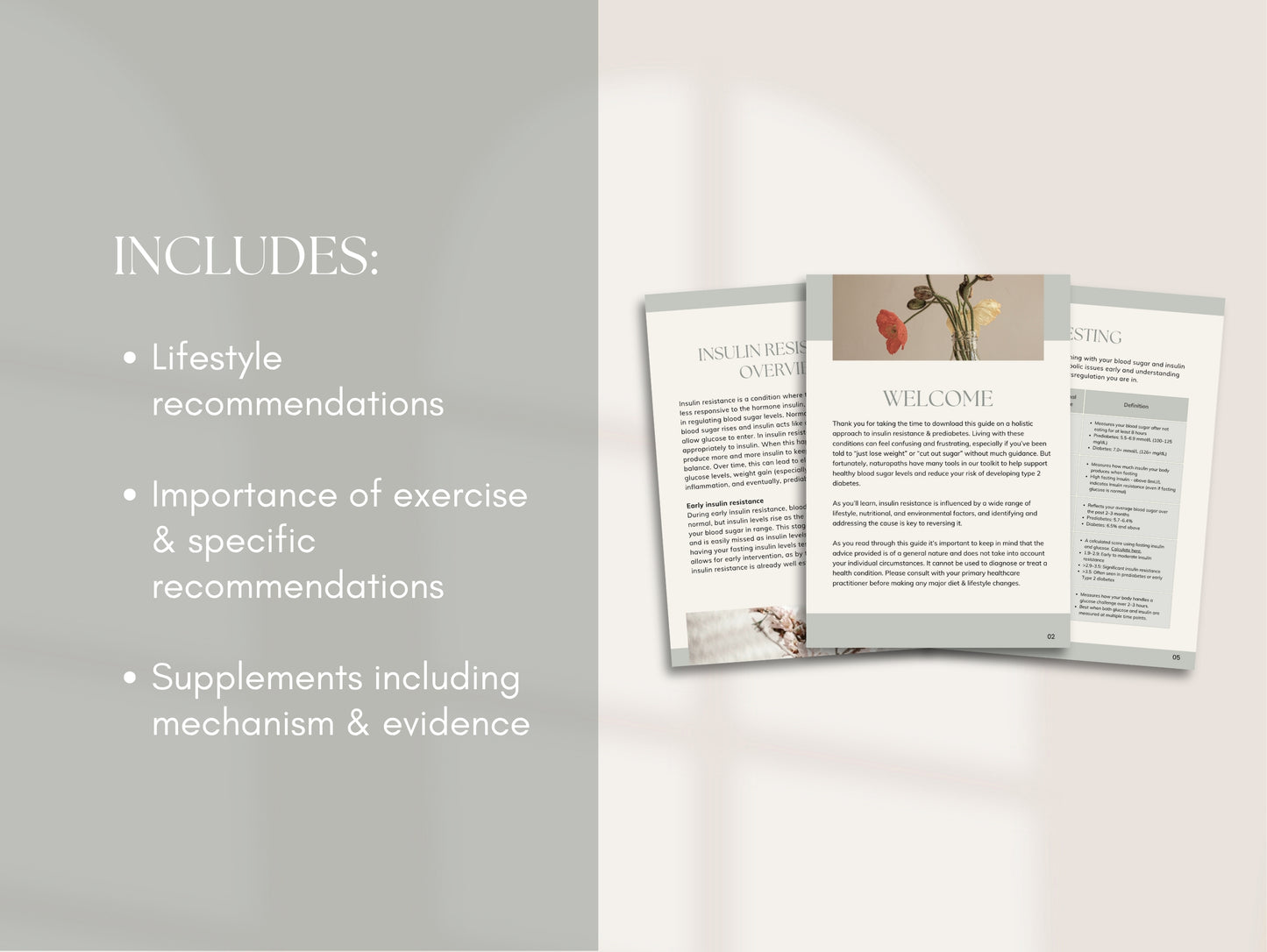 Insulin Resistance Booklet