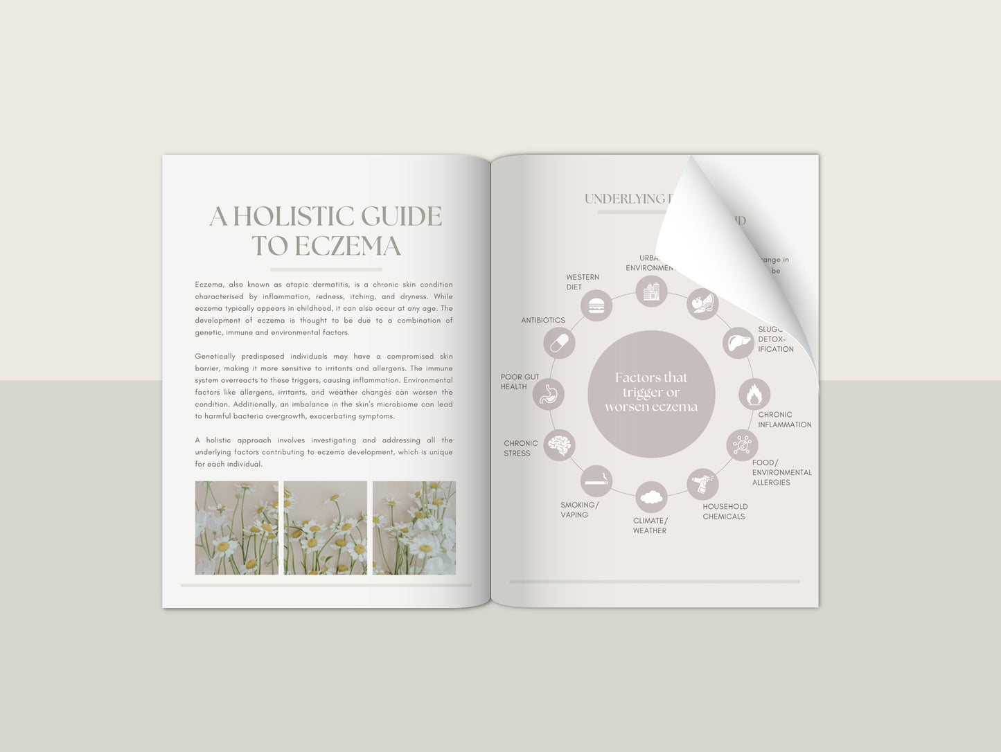 Eczema patient booklet for naturopaths and functional medicine practitioners
