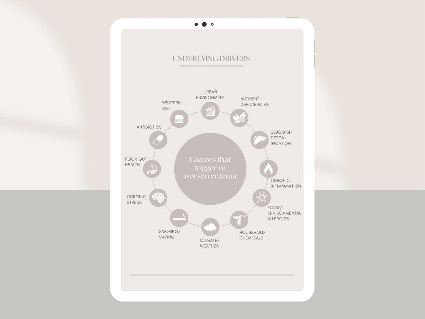 Pre-made eczema patient booklet for managing symptoms