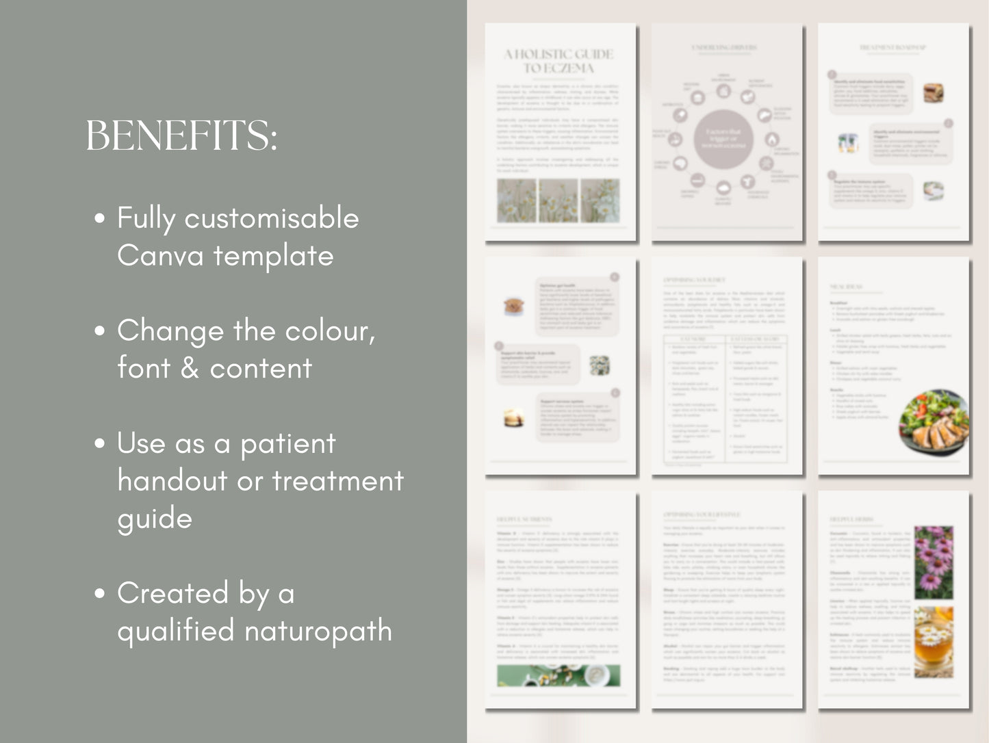 PLR eczema patient booklet for passive income and client education