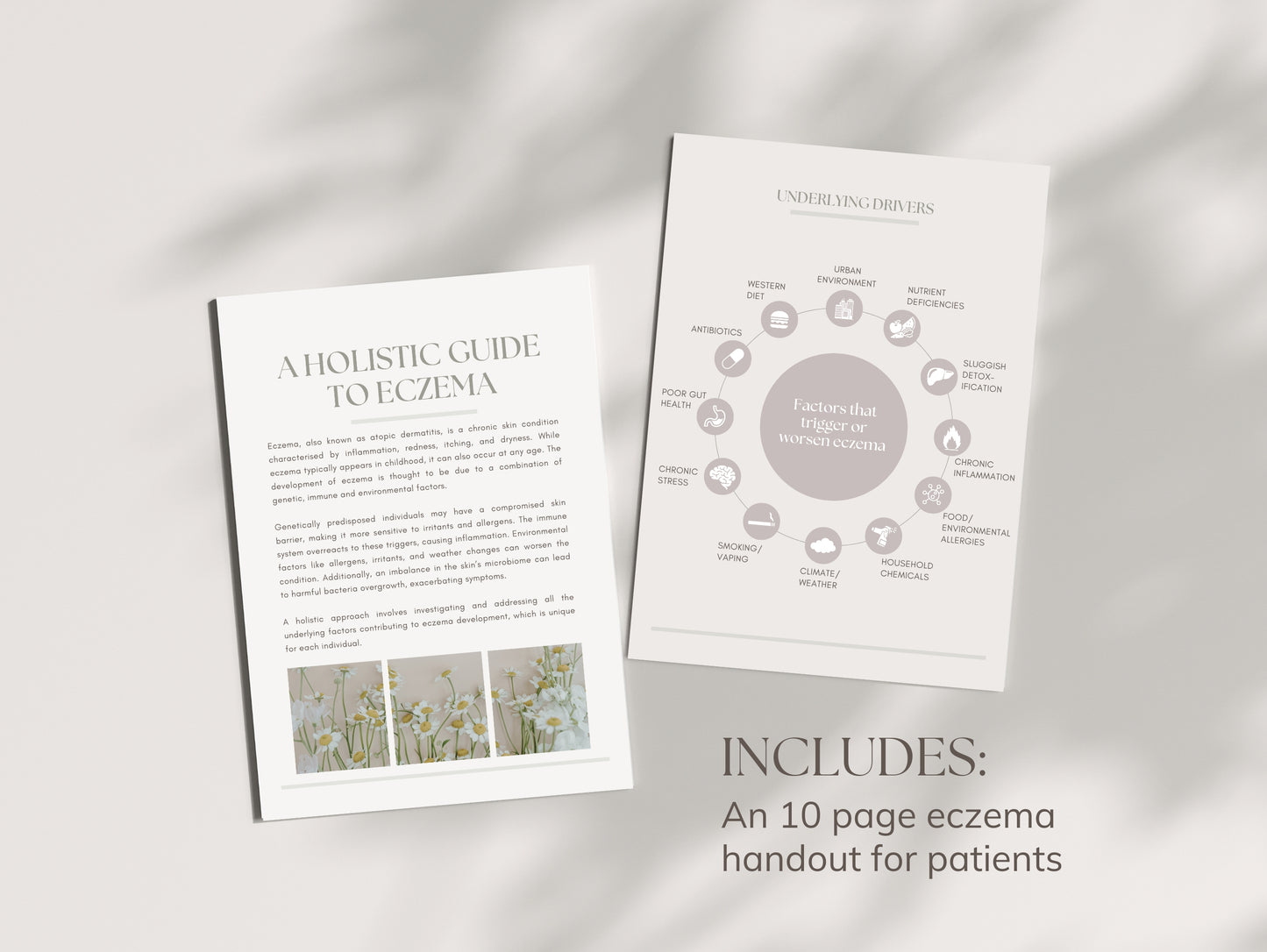Done-for-you eczema guide for NDs and nutritionists