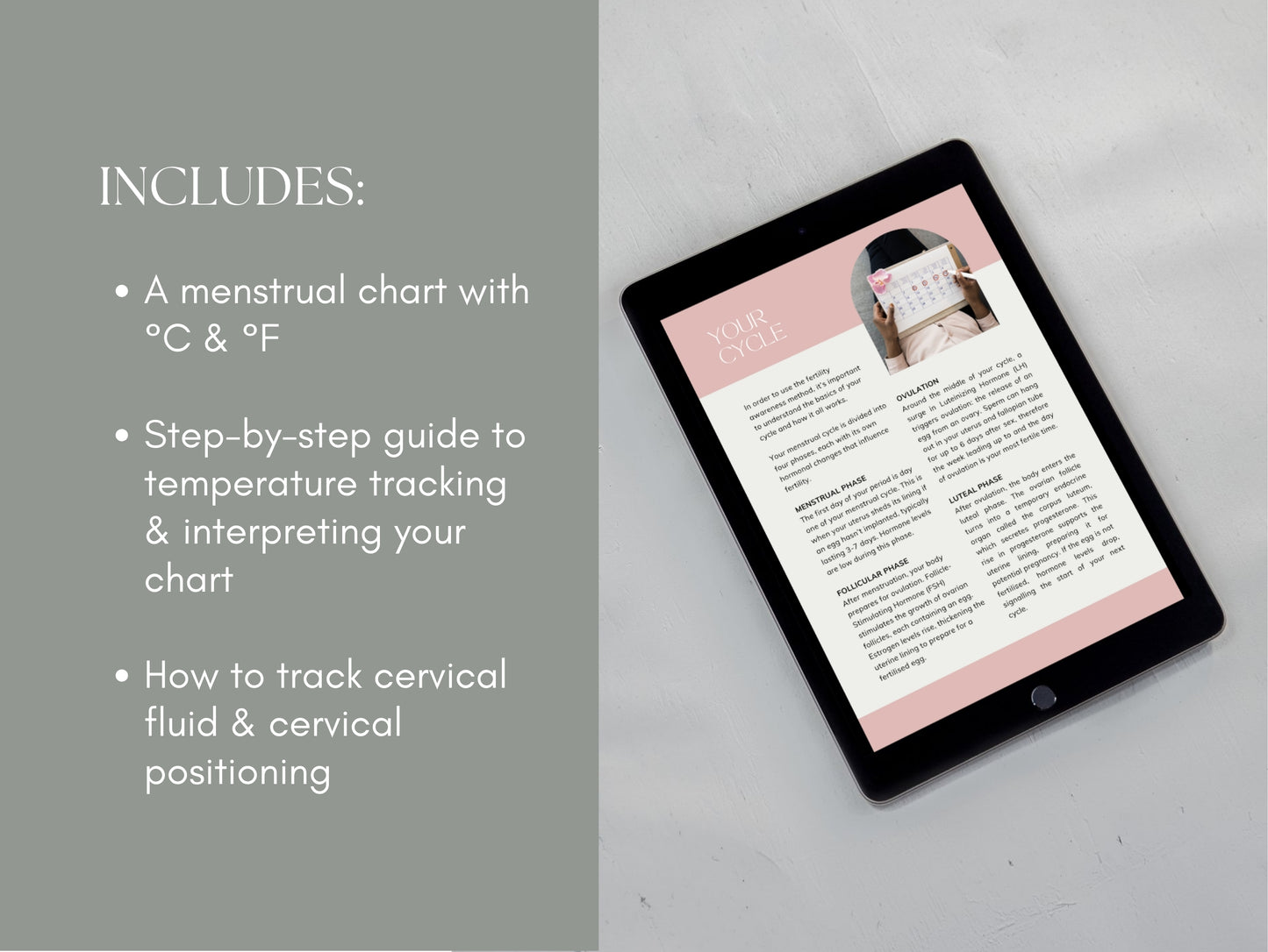 Canva fertility awareness handout template for wellness professionals and herbalists