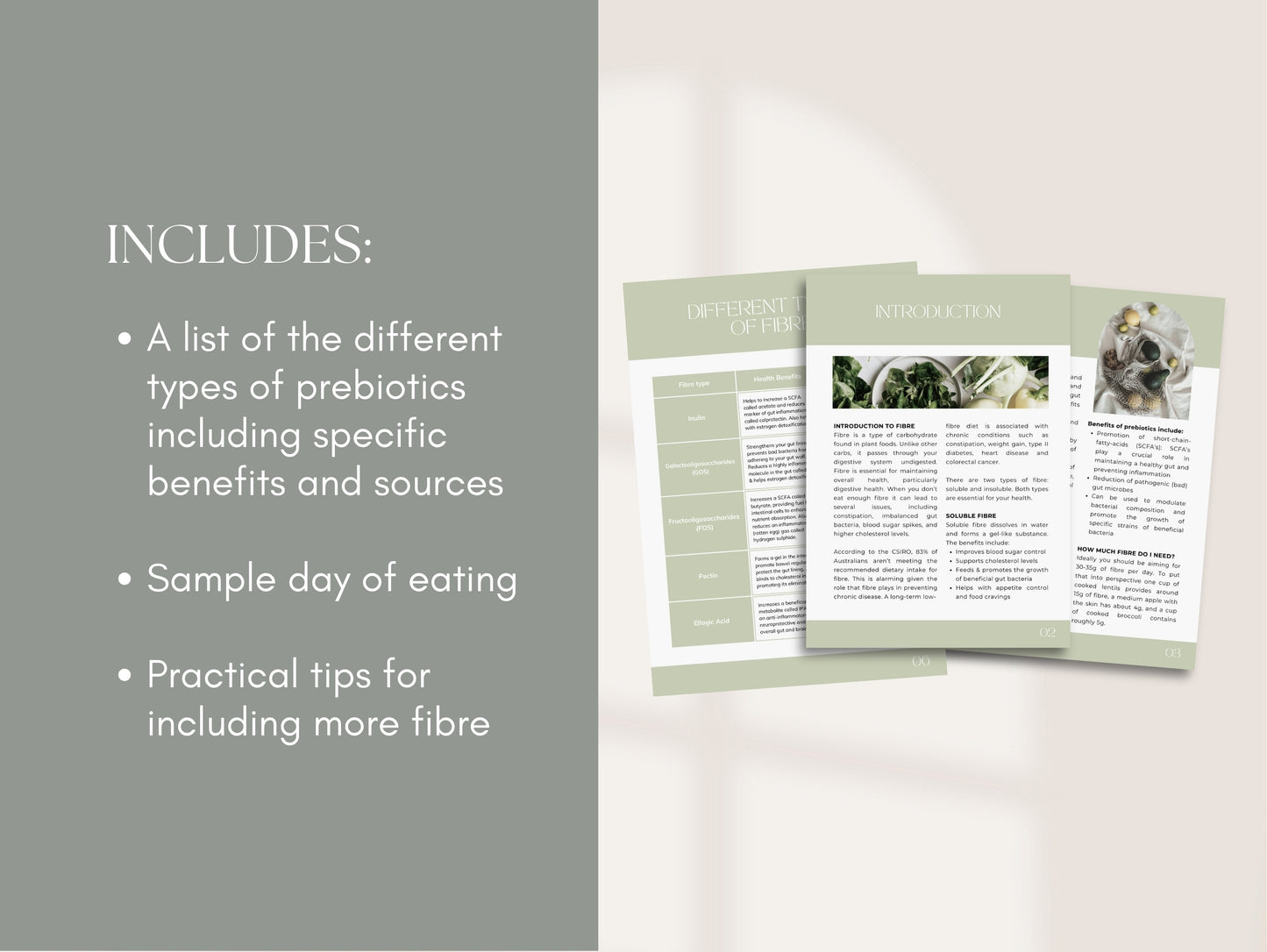 Fibre Patient Handout