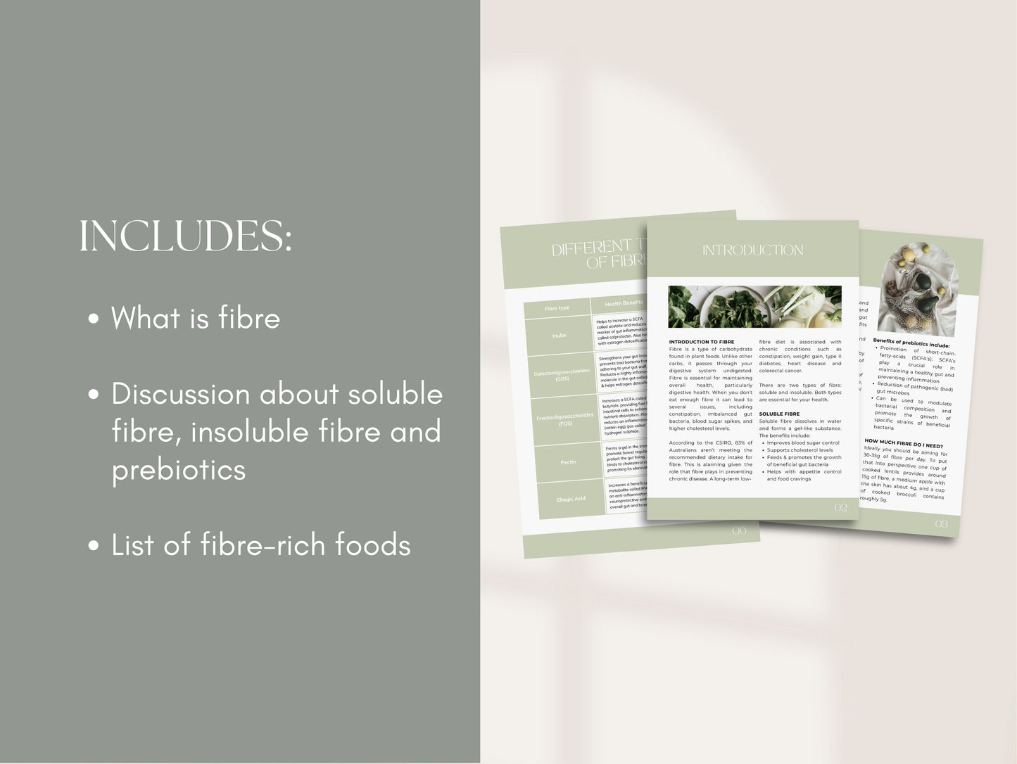 Fibre Patient Handout