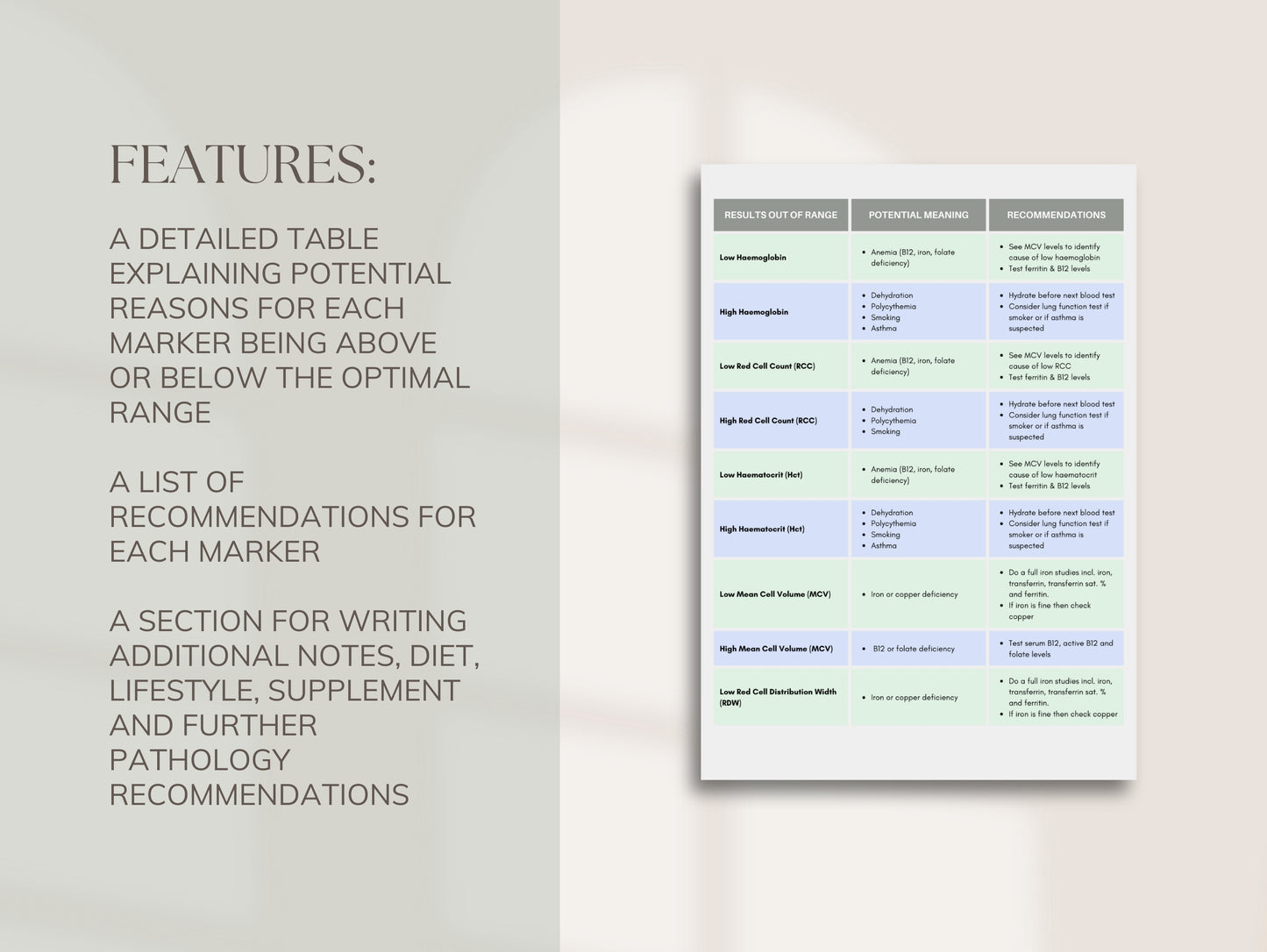 Patient-friendly blood work interpretation Canva form for wellness professionals