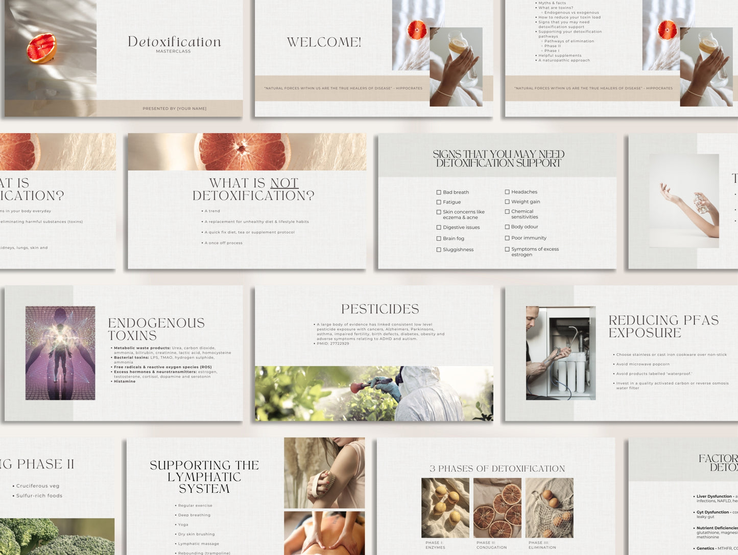 Canva detox webinar for naturopaths and holistic health professionals