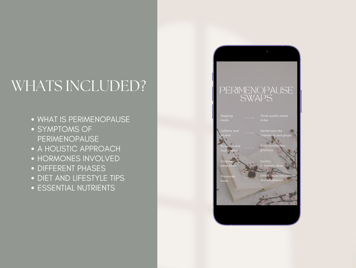Editable perimenopause reels for nutritionists
