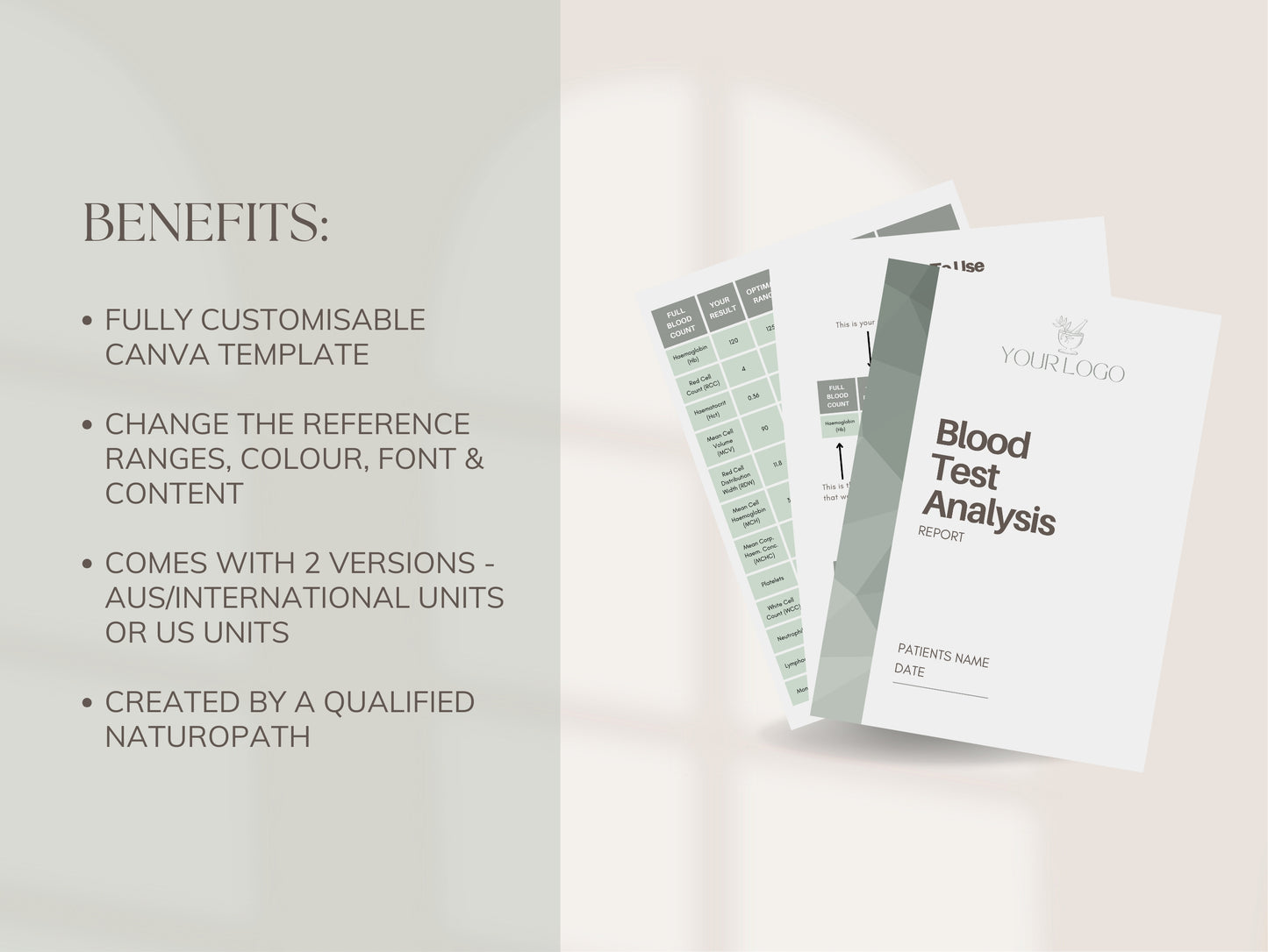 Editable functional lab report template for naturopathic consultations
