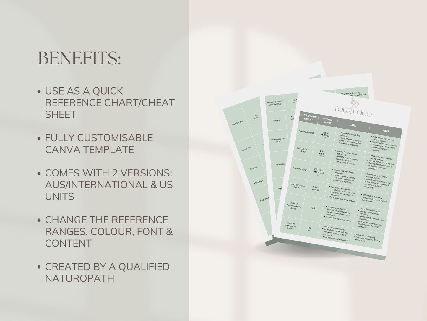 Canva blood work reference guide for holistic health practitioners