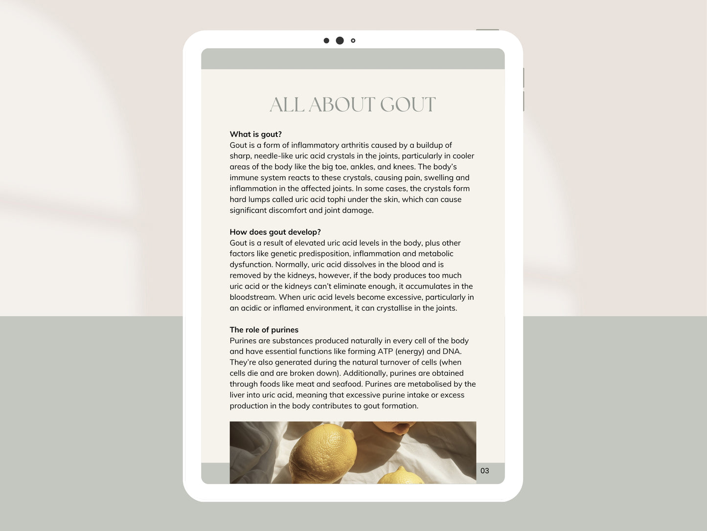 Client-ready gout booklet for functional medicine practitioners