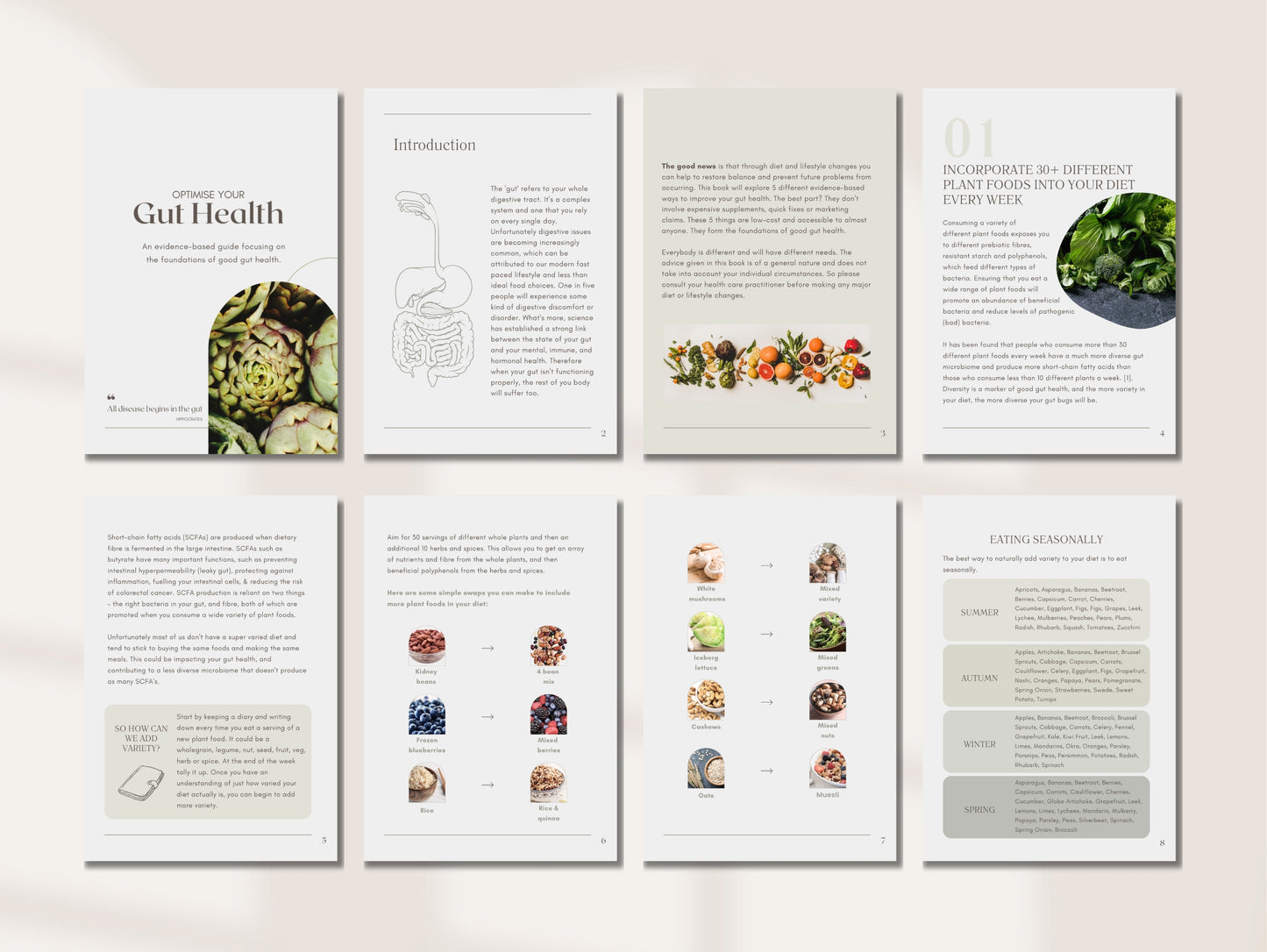 Done-for-you gut health PLR guide for dietitians and wellness practitioners