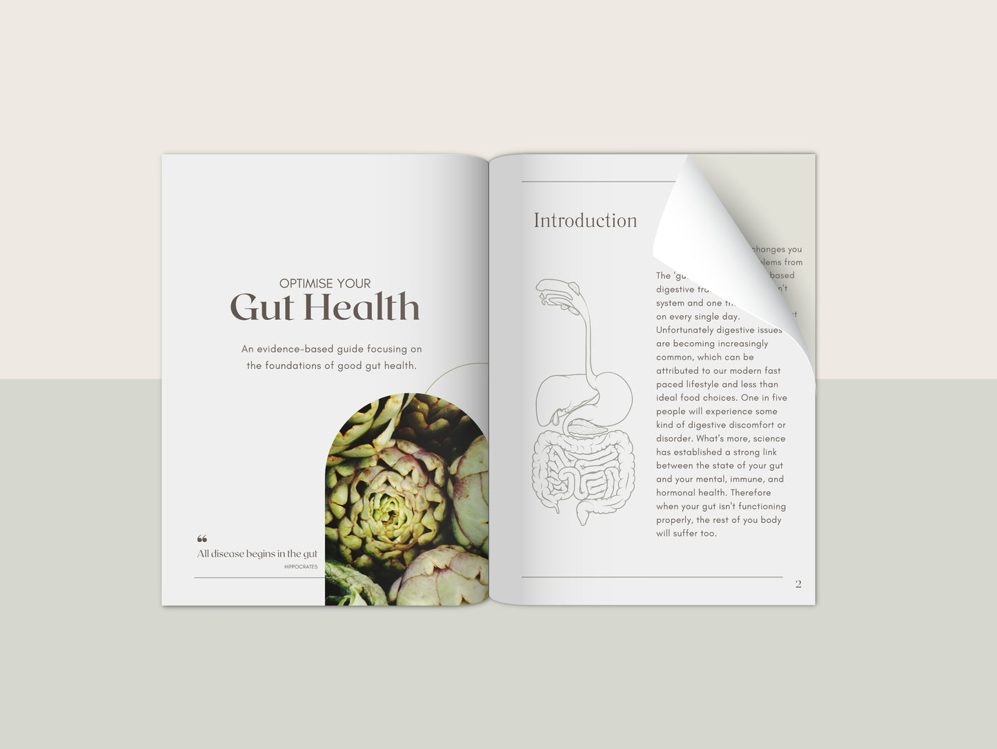 Gut health eBook white label template for naturopaths and nutritionists