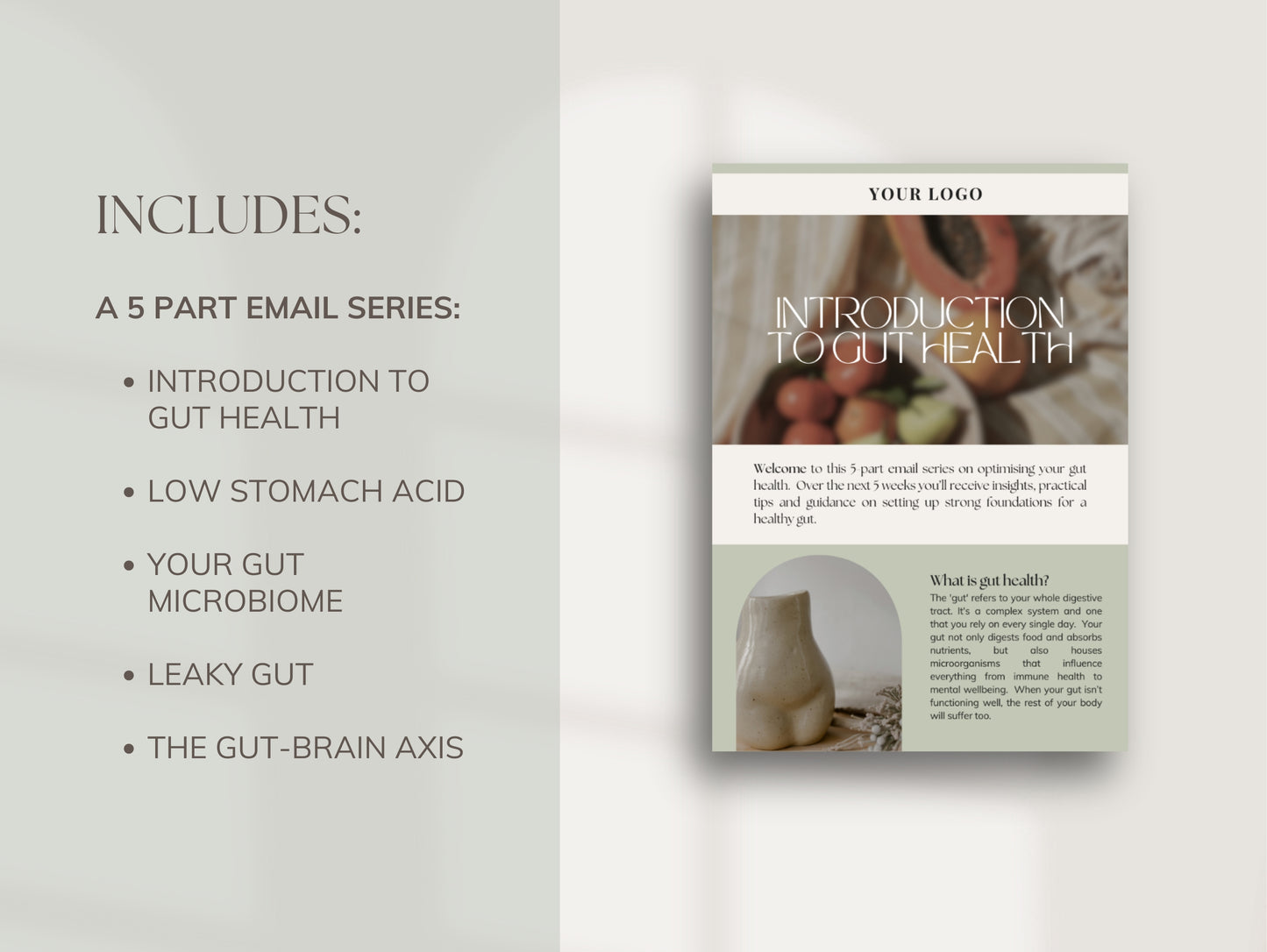 Editable gut health email templates for nutritionists and herbalists
