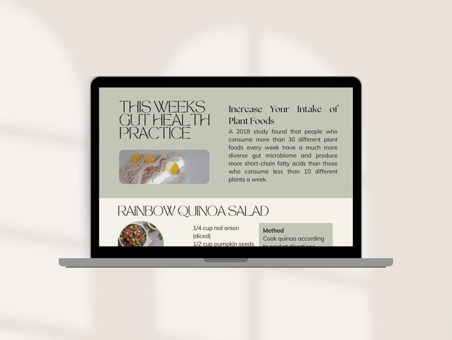 Naturopathic gut email marketing series for client education