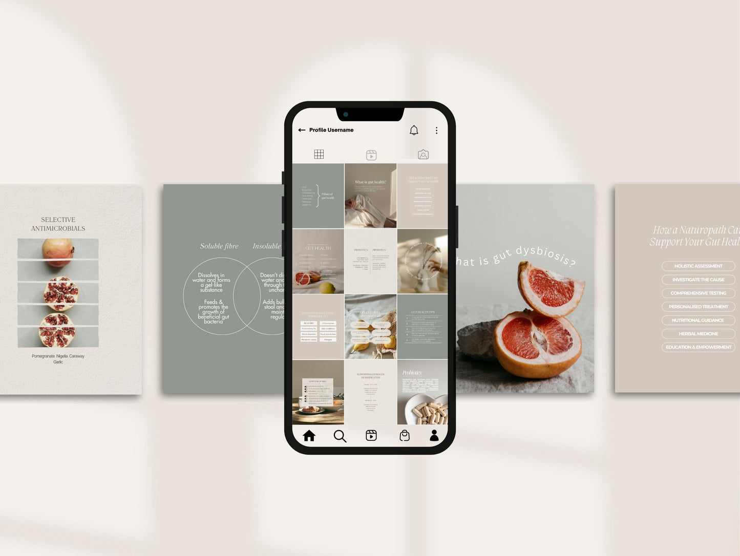 Pre-made Instagram posts for microbiome, IBS, SIBO, and gut health support
