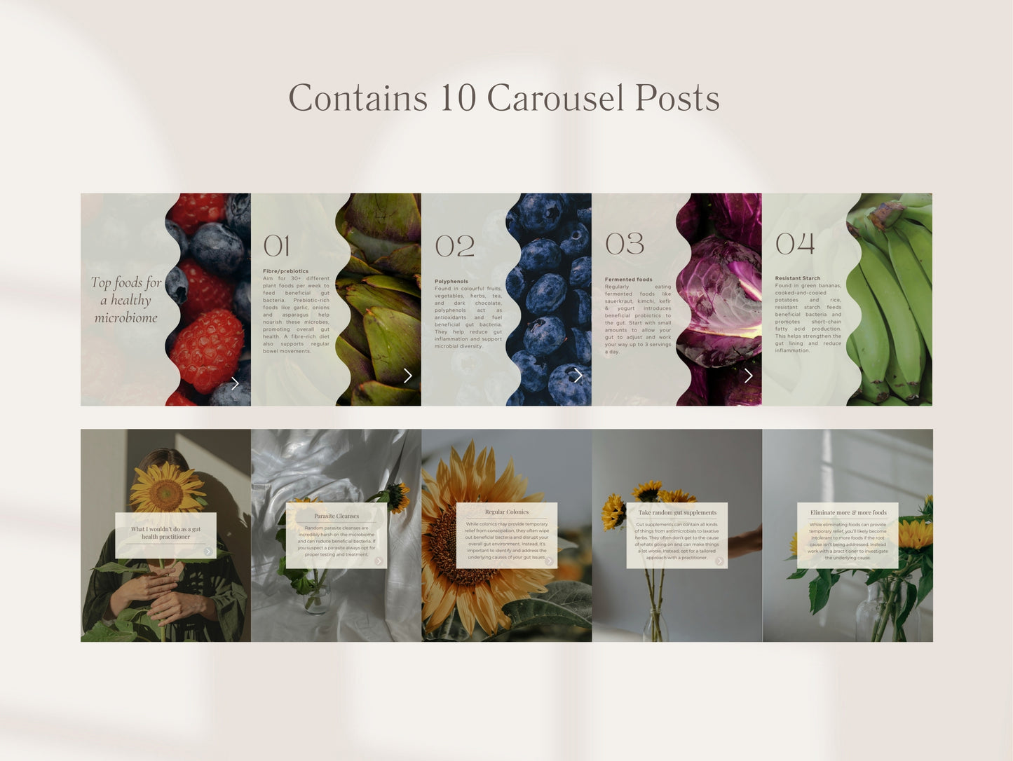 Gut Instagram Canva Templates - Aesthetic