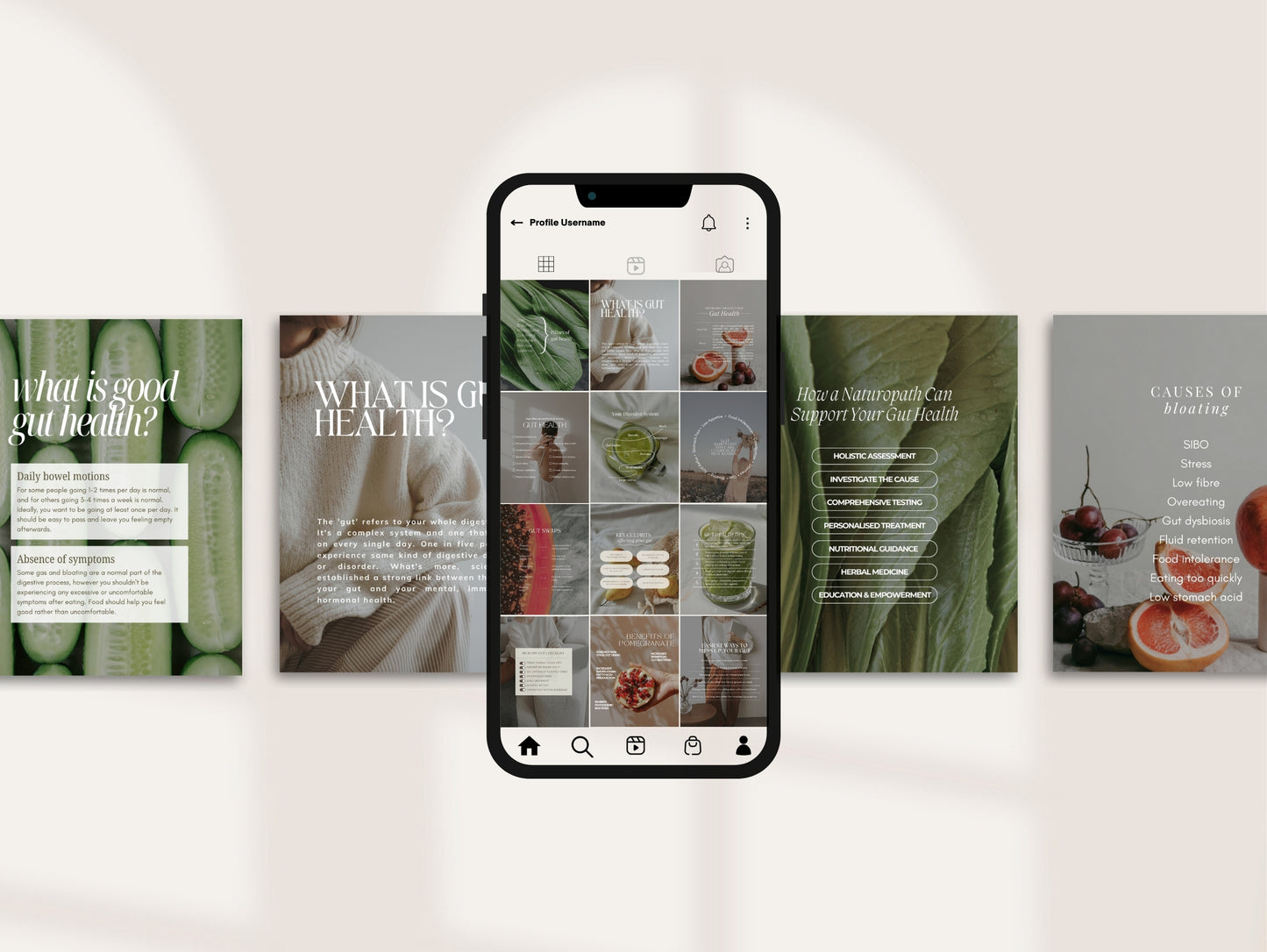 Gut Instagram Canva Templates - Aesthetic