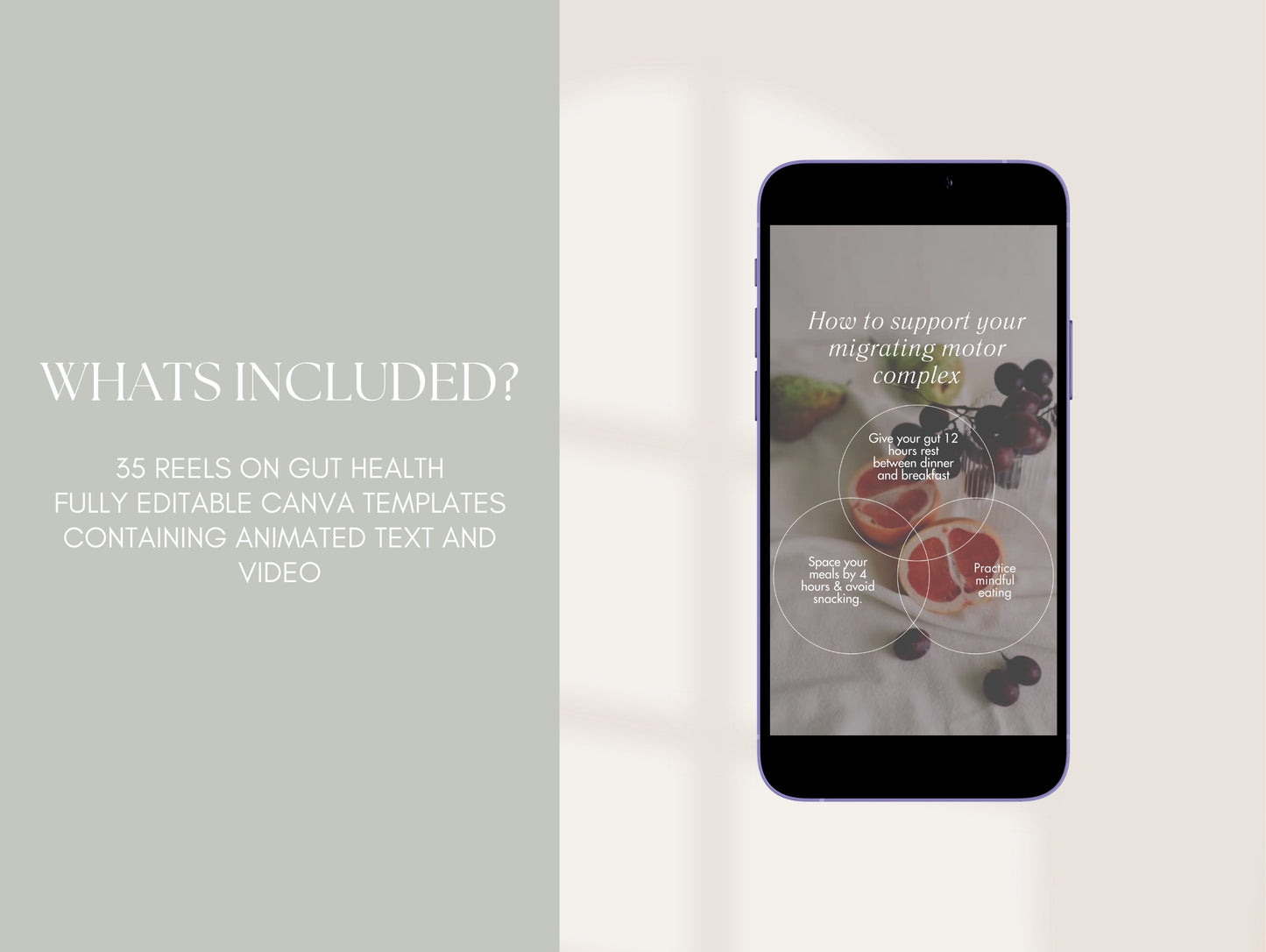 Editable gut health reels for functional medicine and wellness professionals