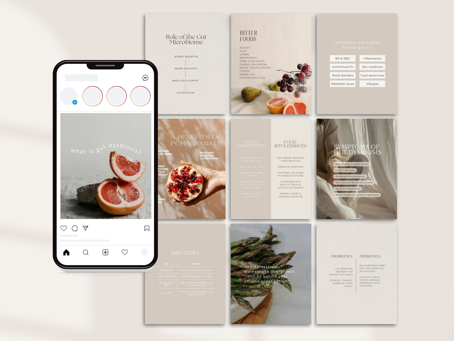 PLR Instagram posts on gut health, SIBO, microbiome, IBS, and digestion for passive income