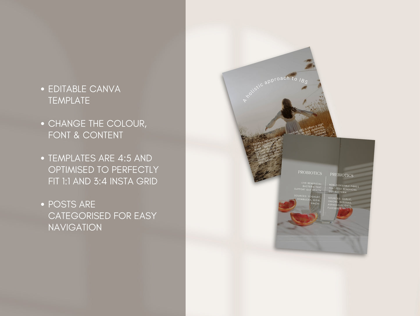 Gut Instagram Canva Templates - Aesthetic