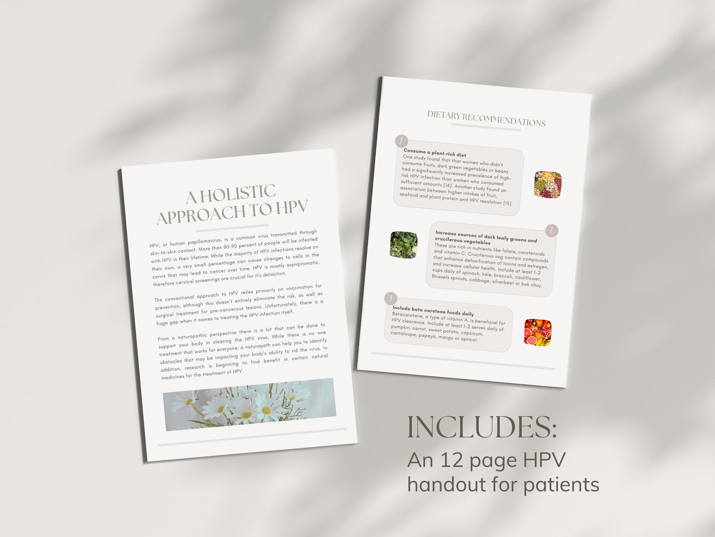 Done-for-you HPV guide for holistic health professionals and nutritionists