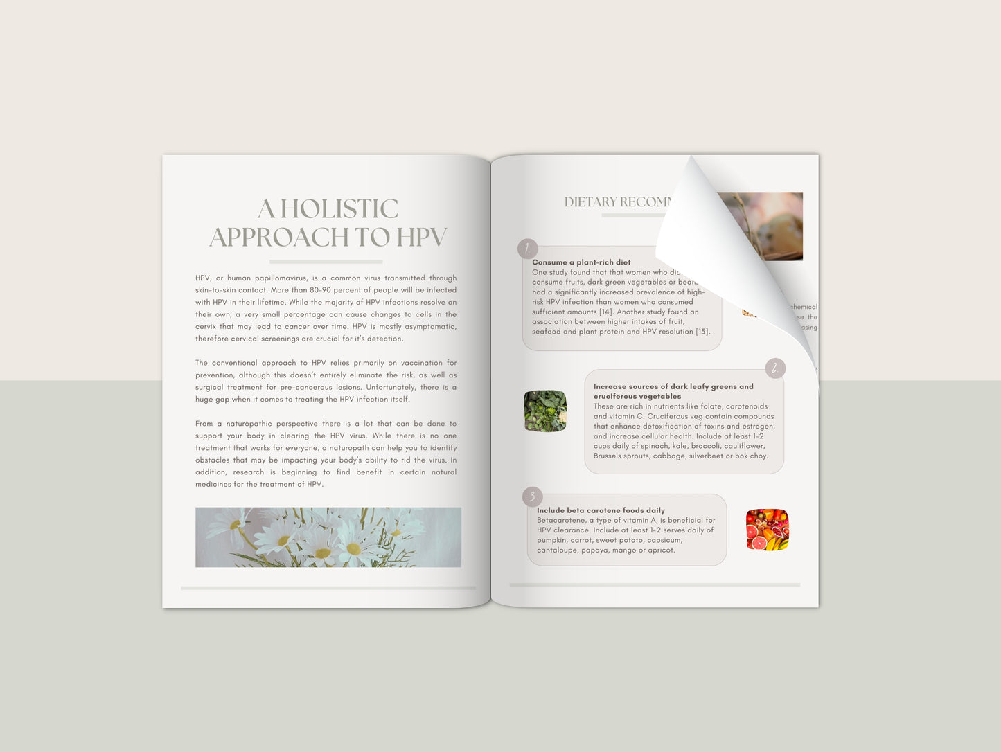 HPV patient booklet for naturopaths and functional medicine practitioners