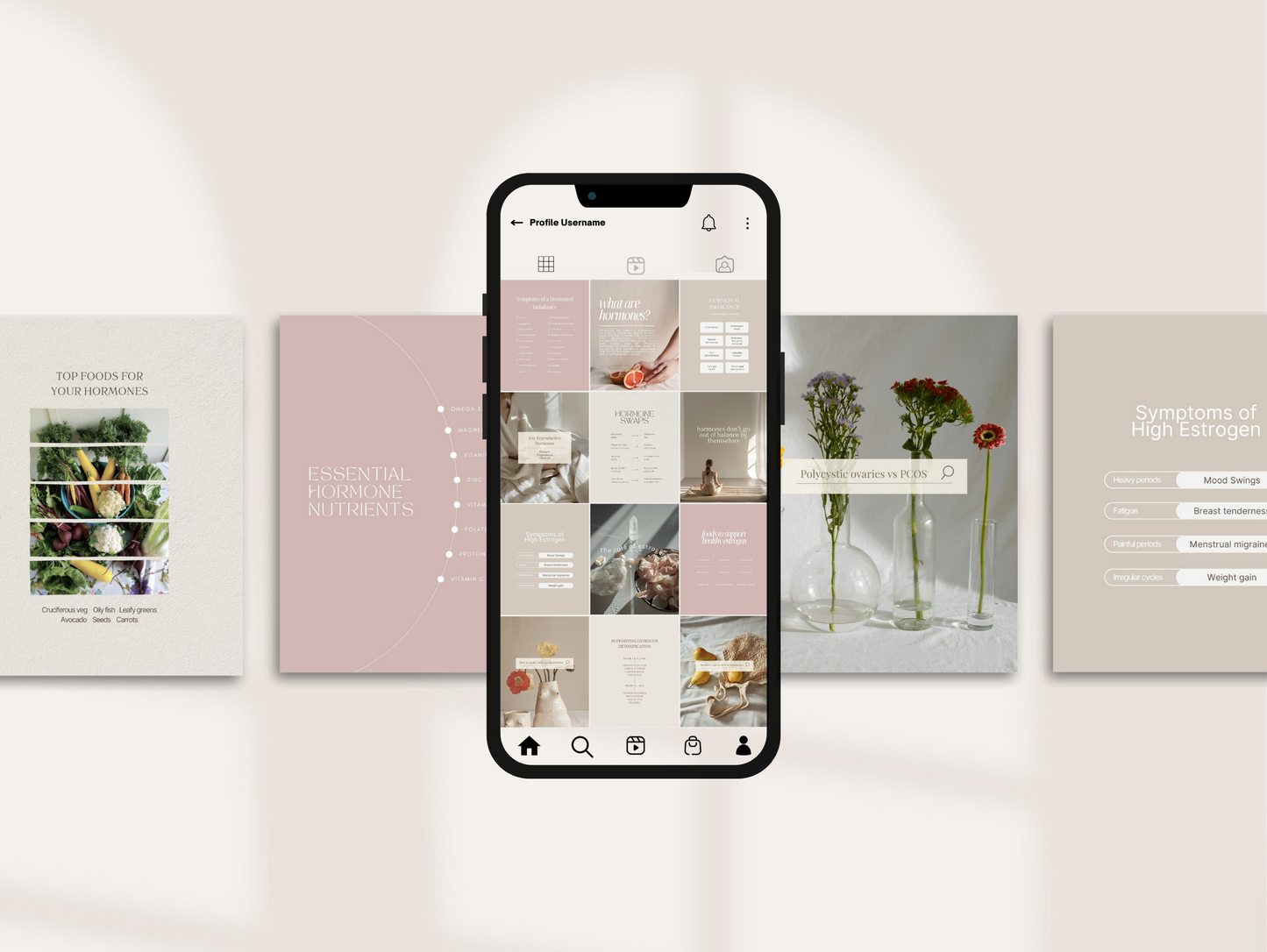 Functional Instagram Canva templates for naturopaths, nutritionists