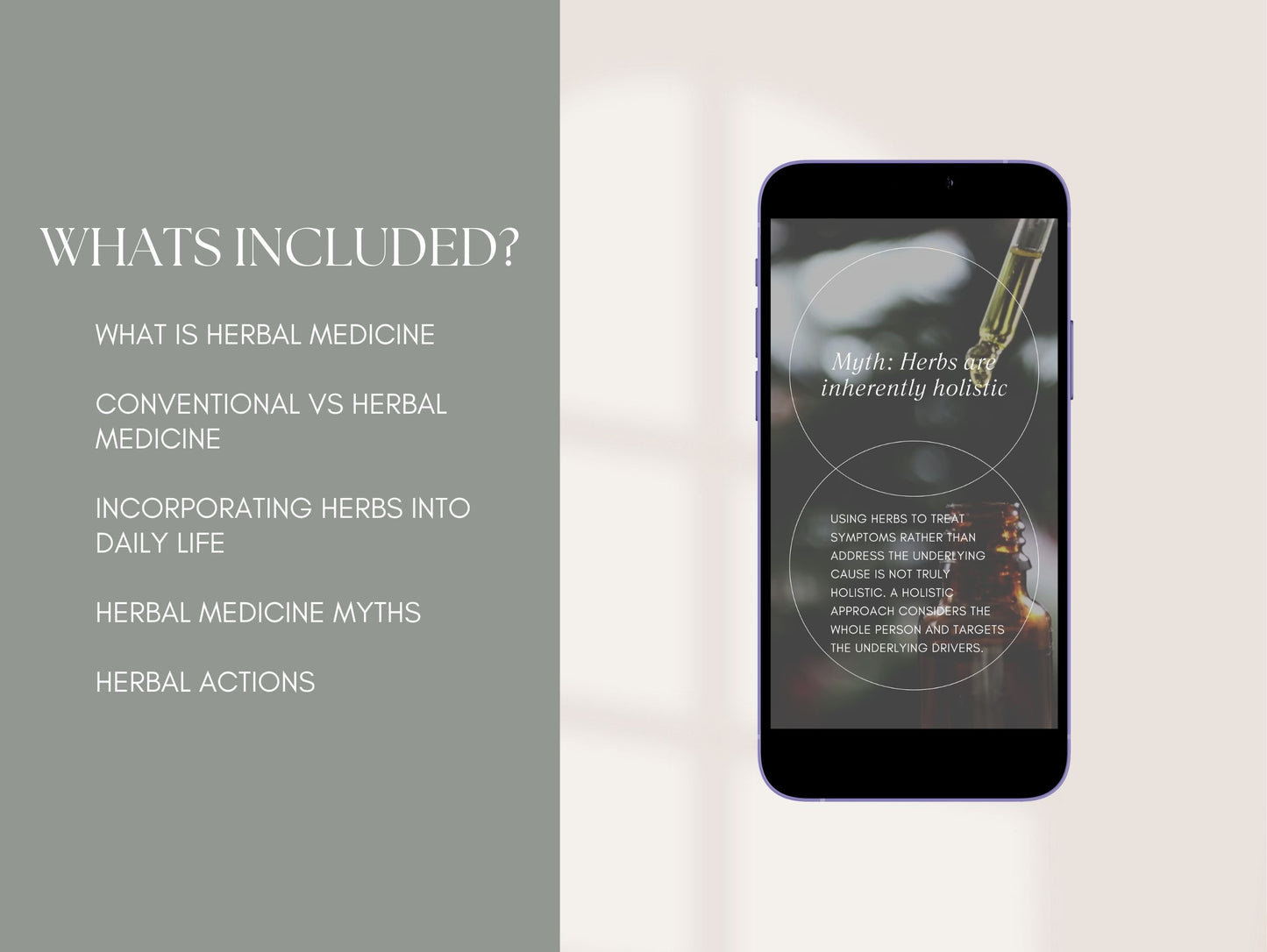 Canva reels for herbal education and natural remedies