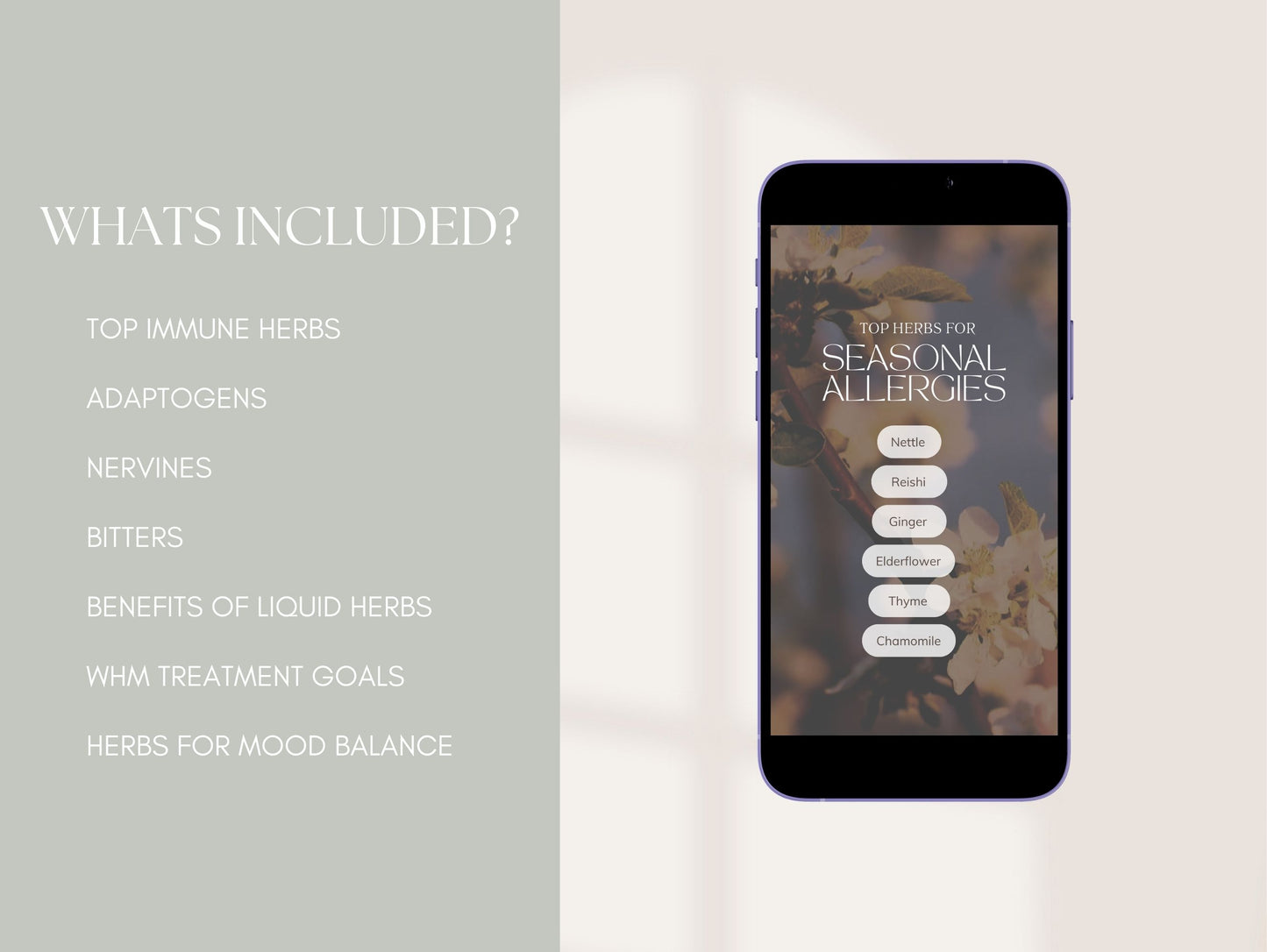 Herbal medicine Instagram content for holistic health professionals