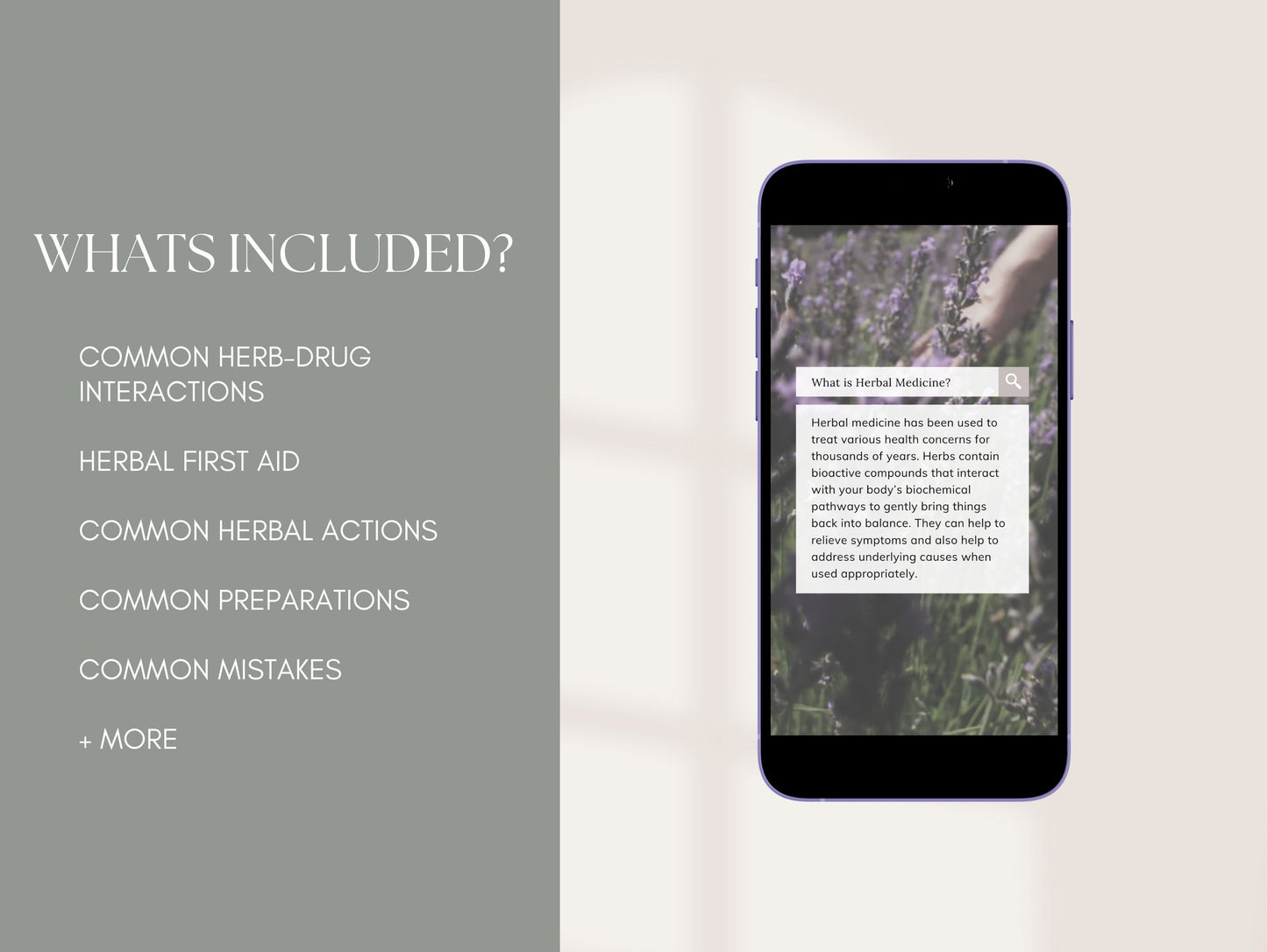 Herbal Instagram reels for client education and engagement