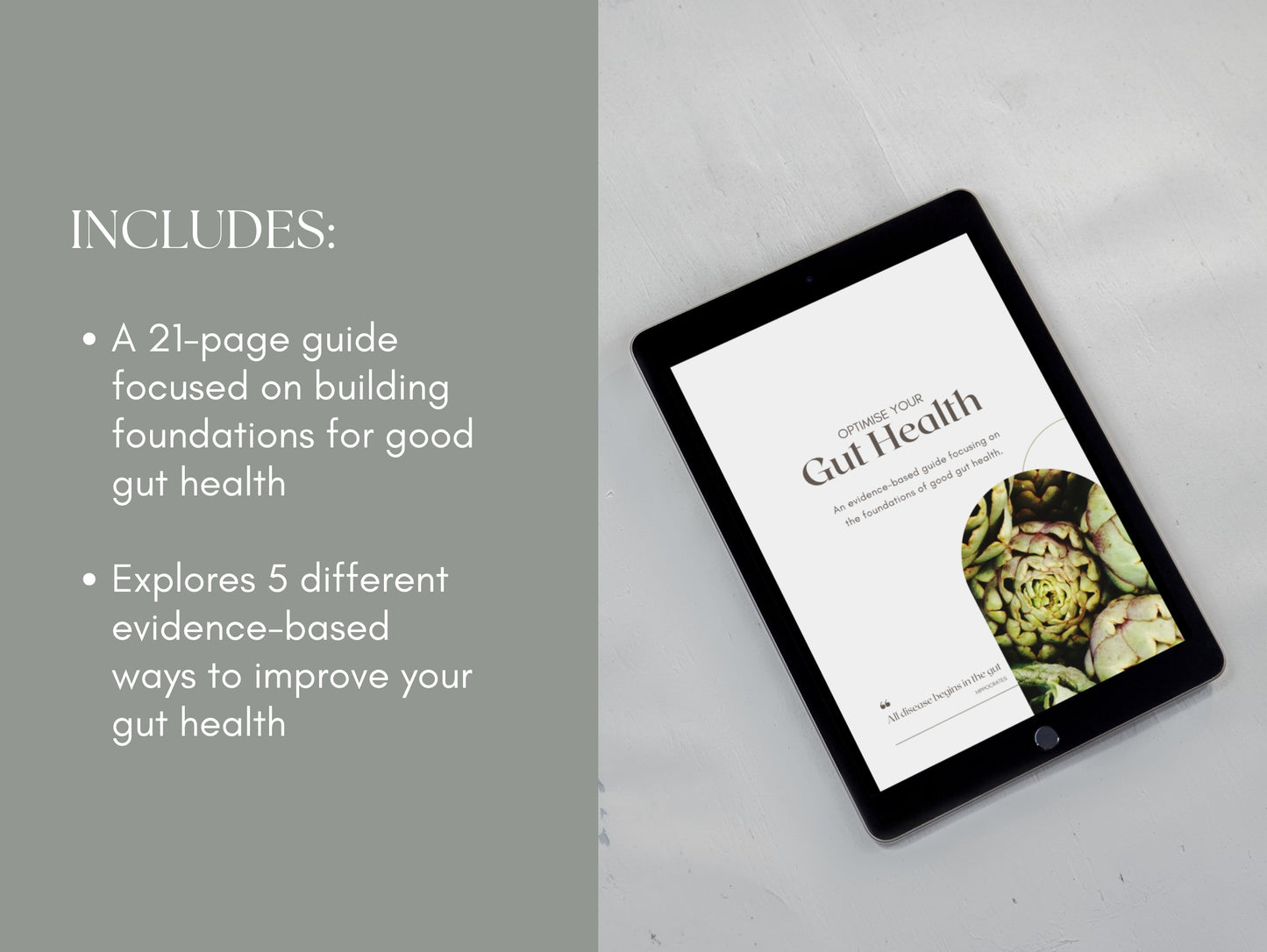 PLR gut health eBook for dietitians, herbalists, and functional medicine