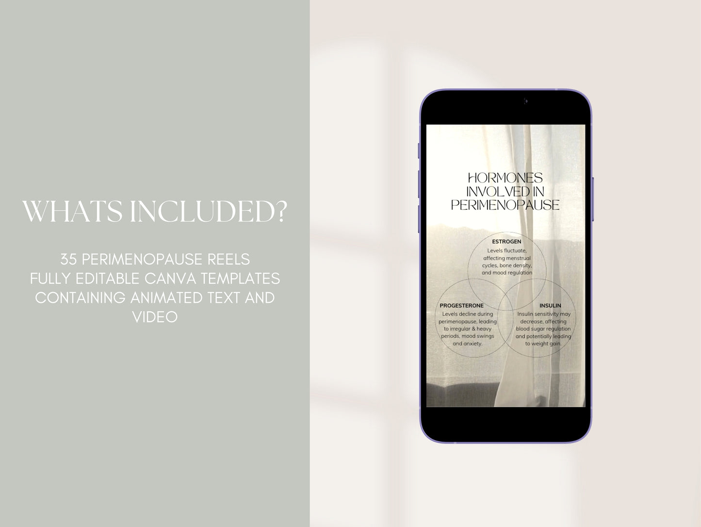 Perimenopause social media Canva reels for functional medicine