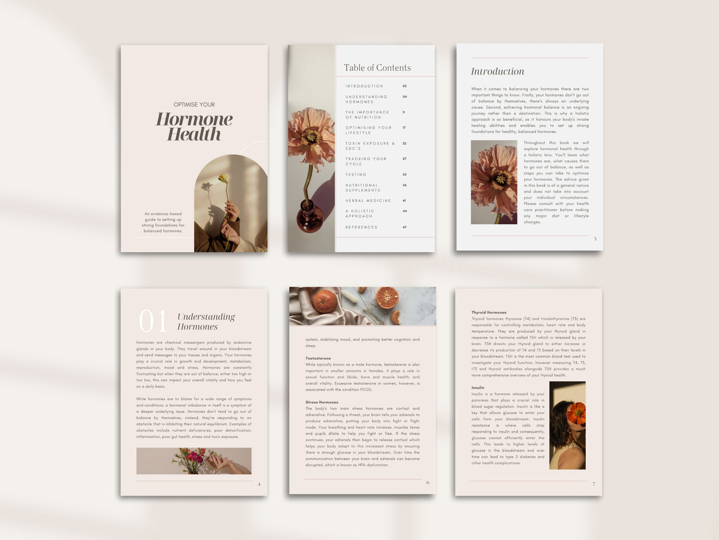 Hormone education eBook for functional medicine and wellness professionals