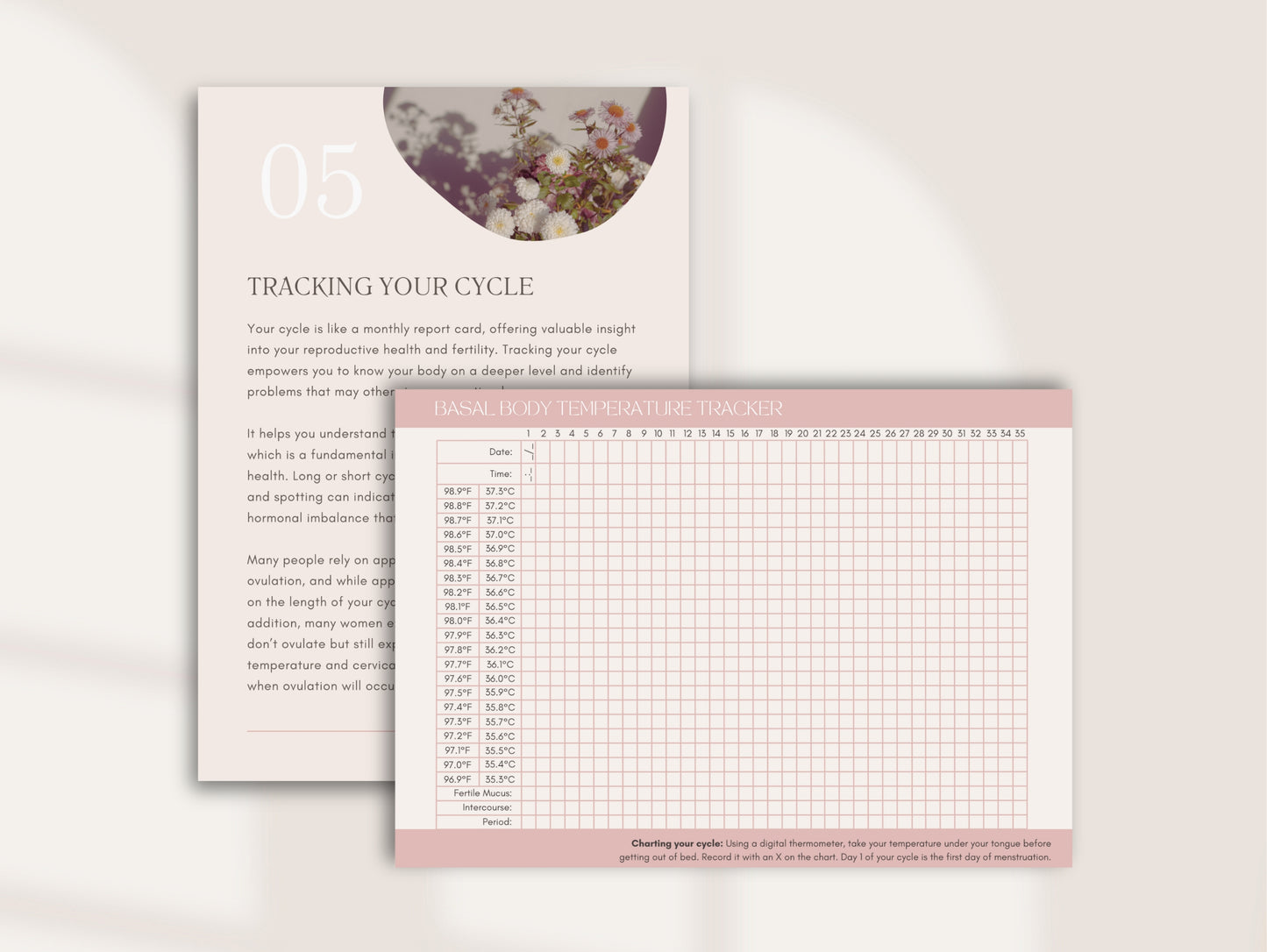 Holistic hormone balance eBook Canva template for ND's, naturopaths, nutritionists