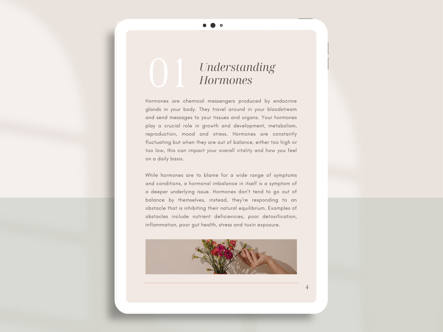 Functional medicine hormone eBook for nutritionists and dietitians