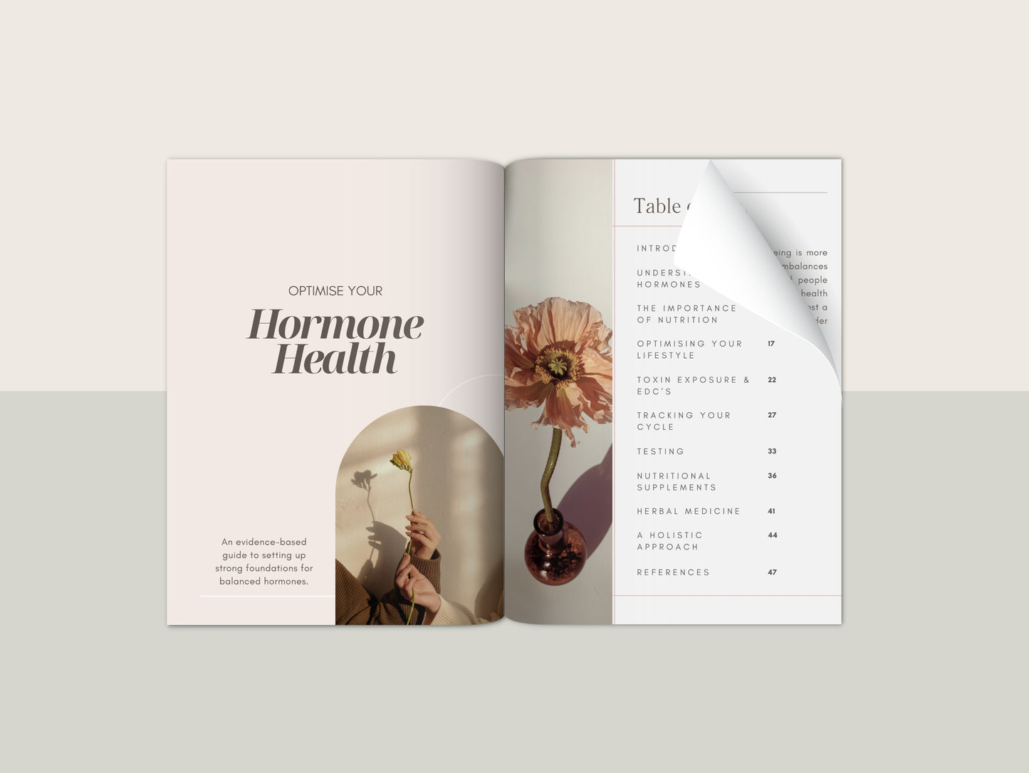 Hormone health eBook Canva template for naturopaths and wellness professionals