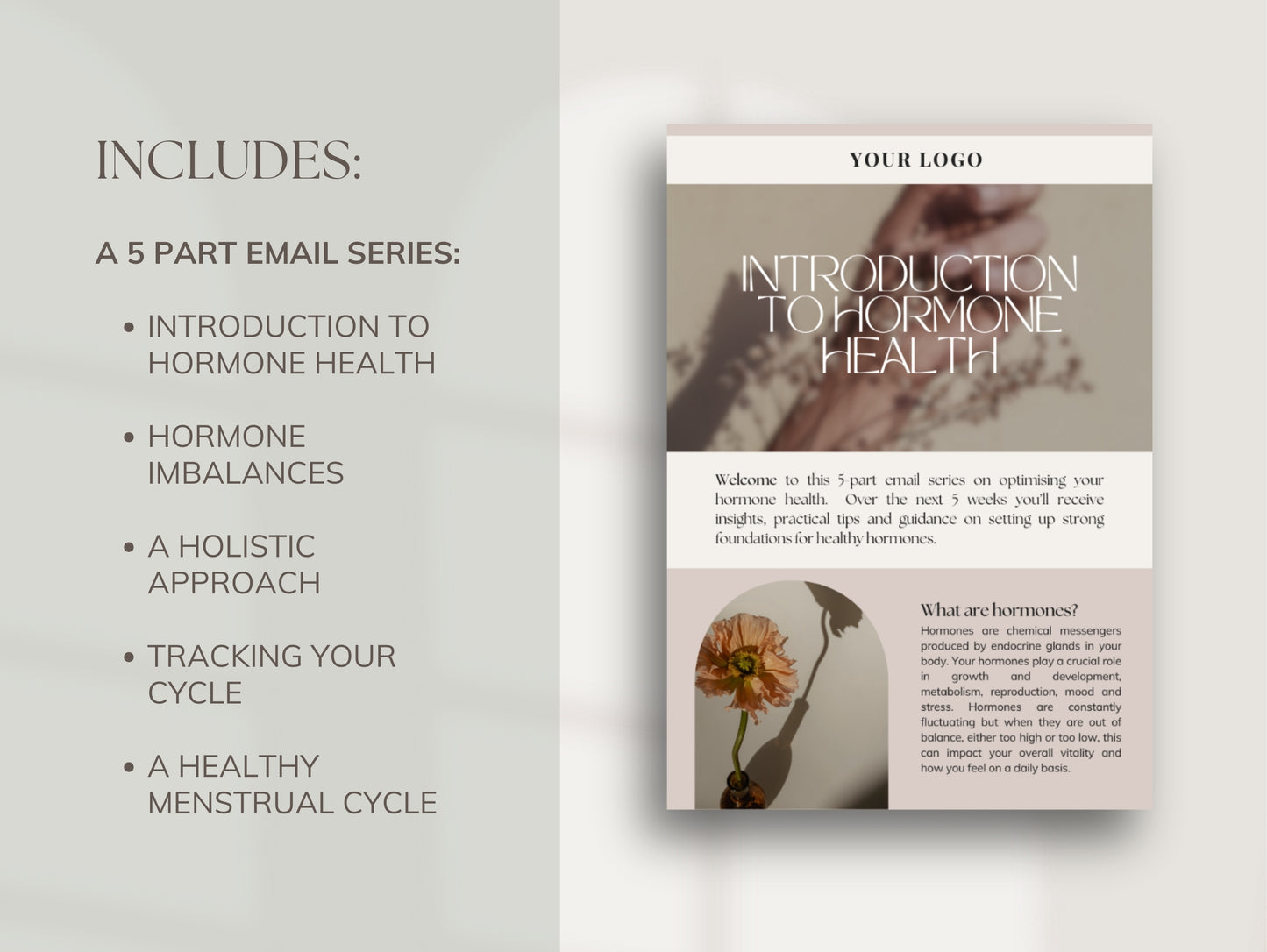 Editable hormone education email templates for nutritionists and herbalists