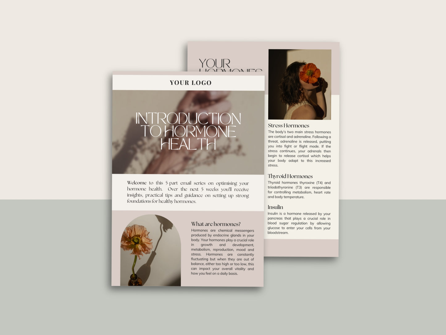 White-label hormone email funnel for holistic health practitioners